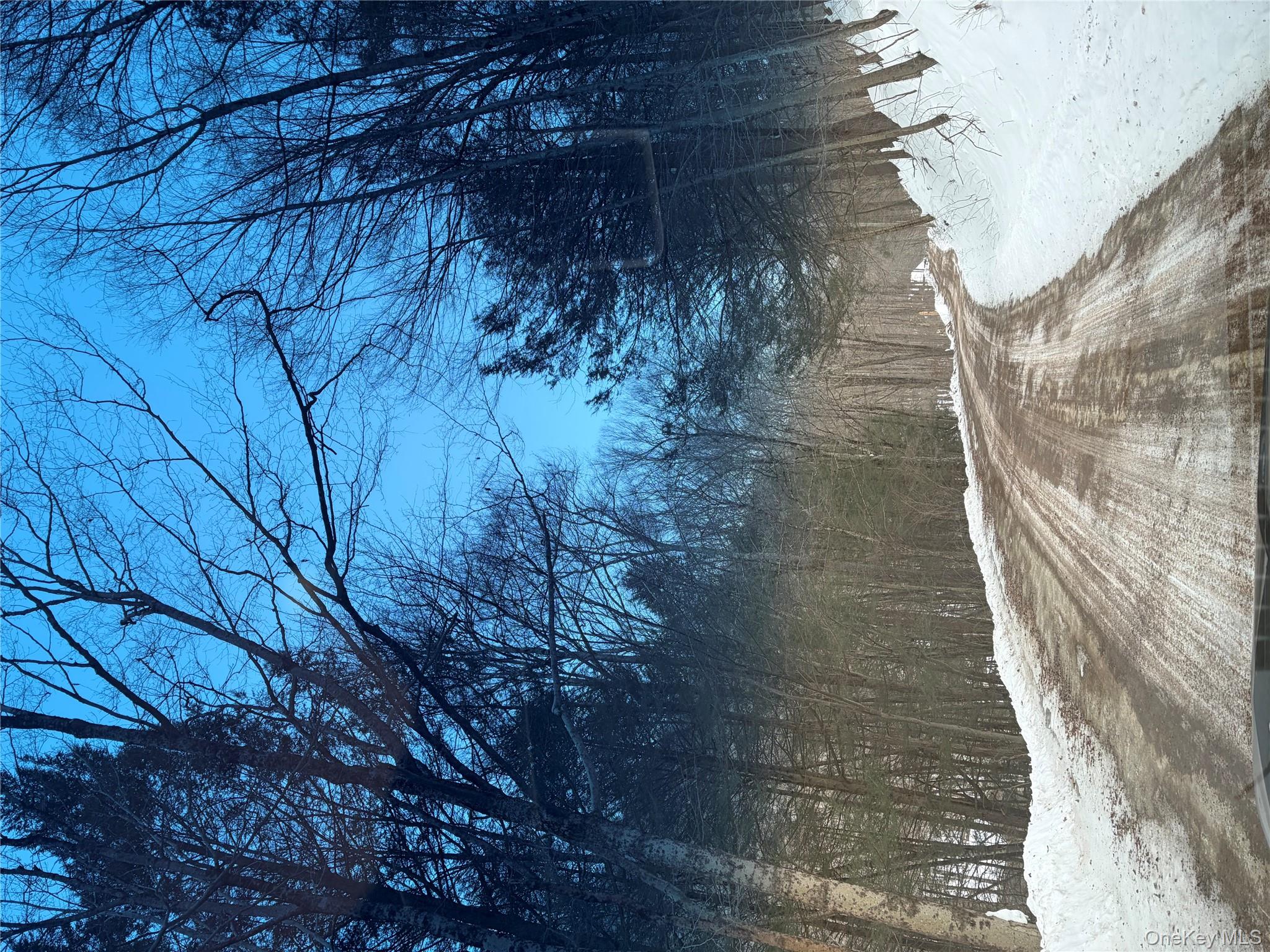 790 Oak, East Branch, NY 13783