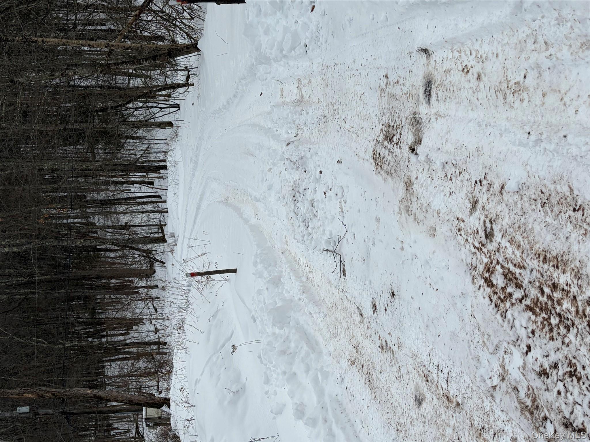 790 Oak, East Branch, NY 13783