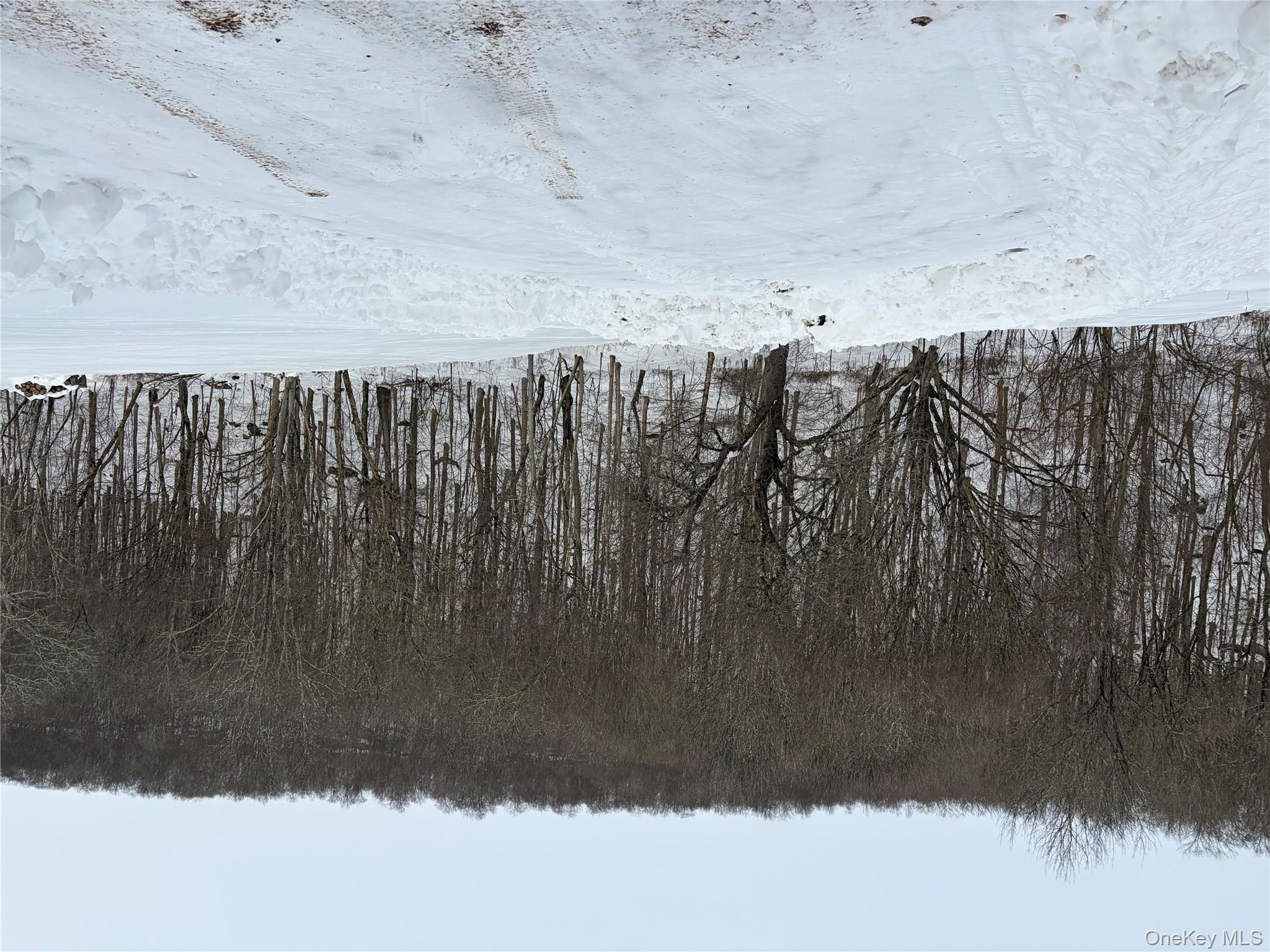 790 Oak, East Branch, NY 13783