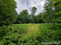 790 Oak, East Branch, NY 13783