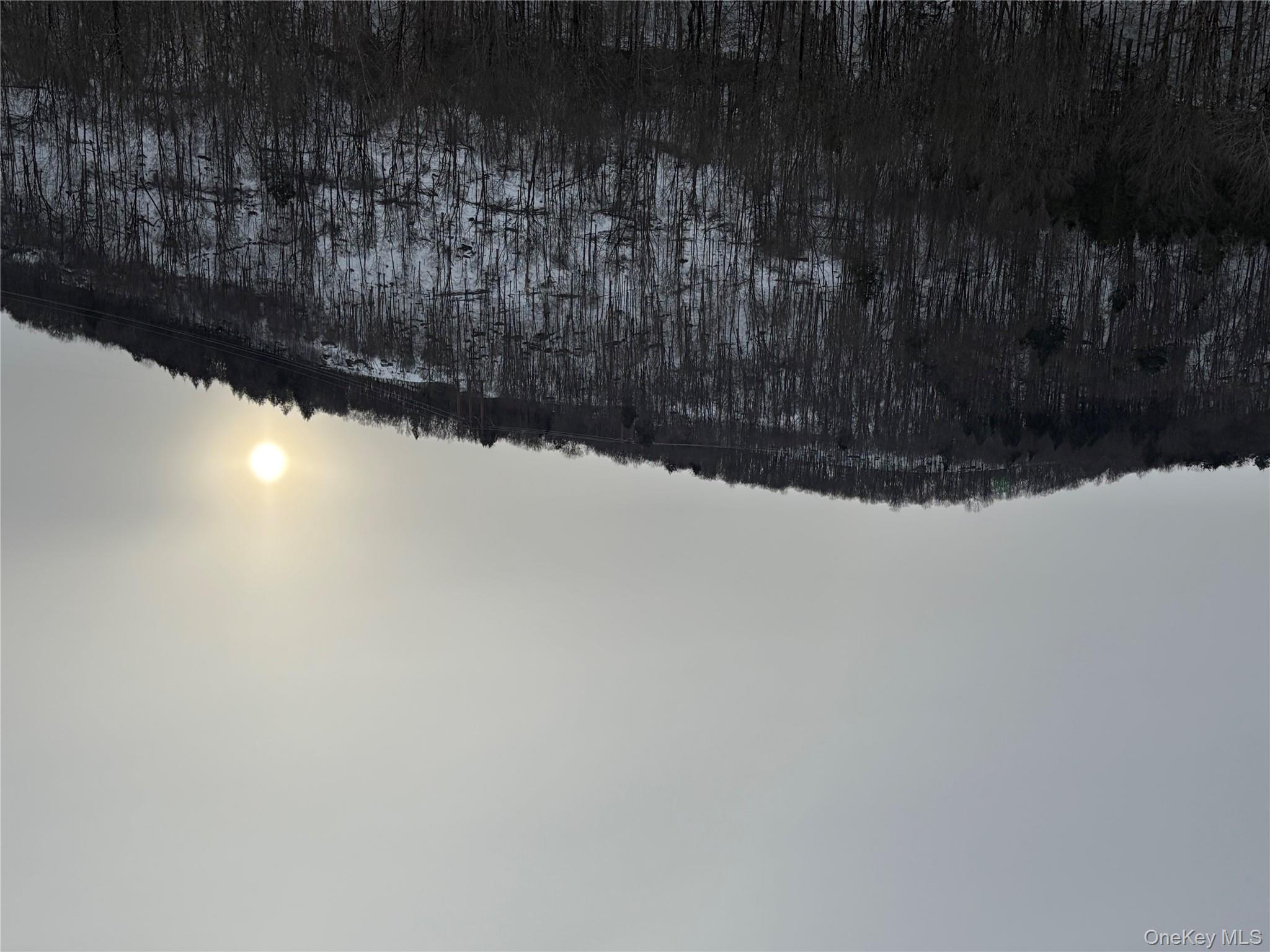 790 Oak, East Branch, NY 13783