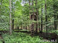 790 Oak, East Branch, NY 13783