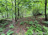 790 Oak, East Branch, NY 13783