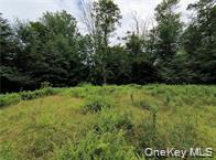 790 Oak, East Branch, NY 13783