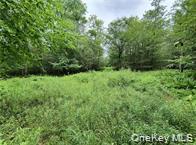 790 Oak, East Branch, NY 13783