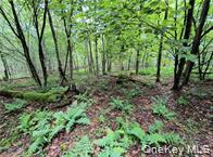 790 Oak, East Branch, NY 13783