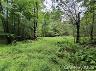 790 Oak, East Branch, NY 13783