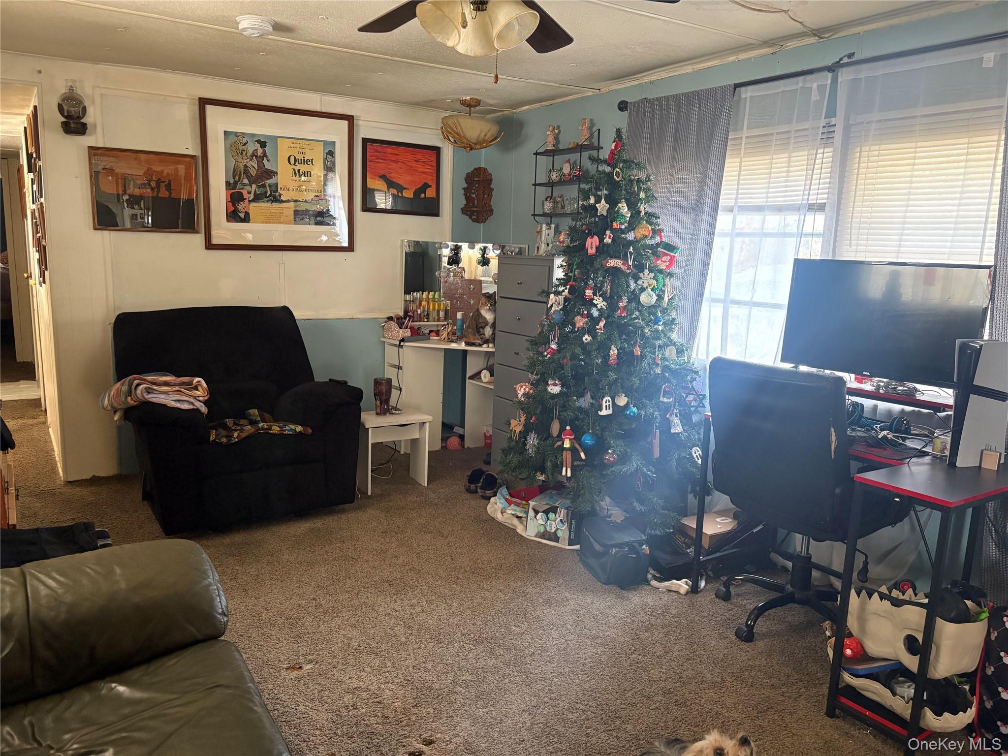 9 Otter Trail, Glen Spey, NY 12737