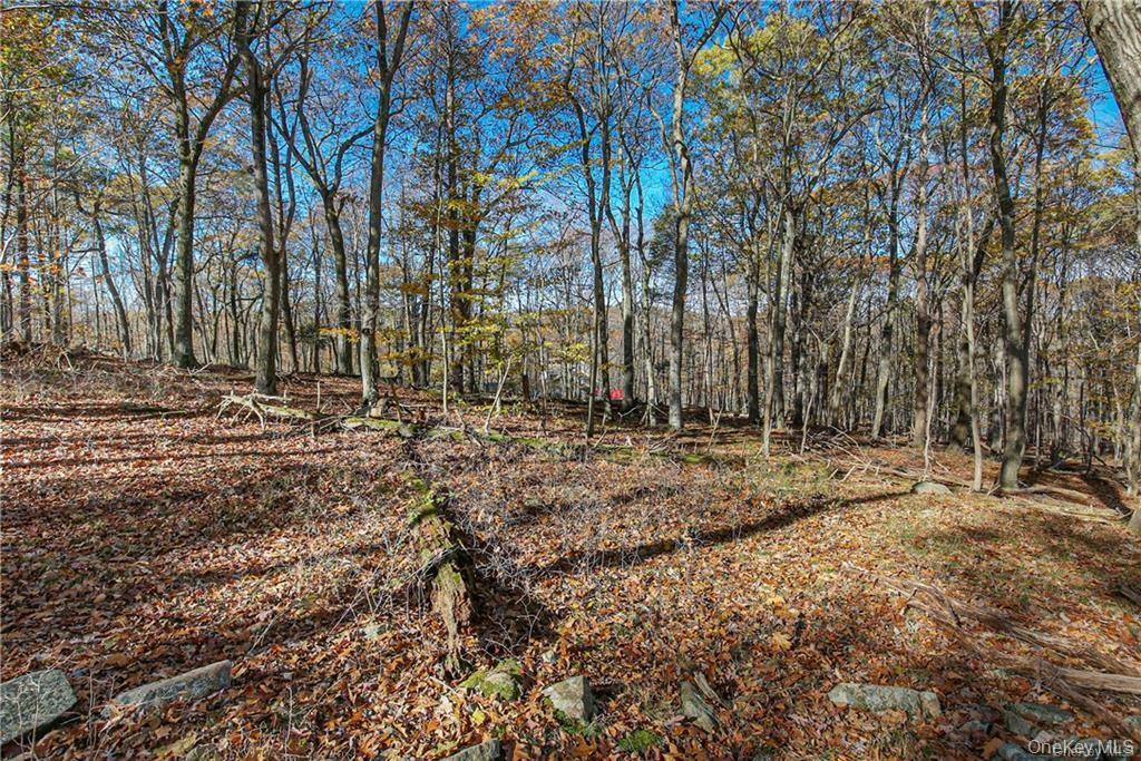 31 Sarles Street, Armonk, NY 10504