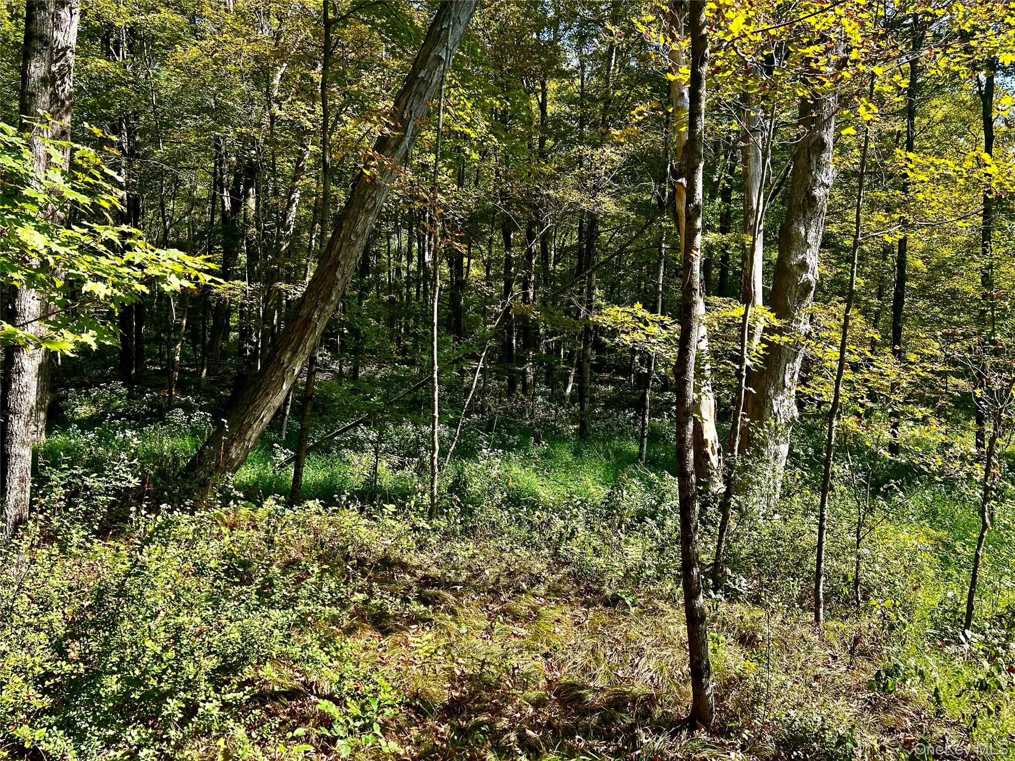 Westfall, Ancram, NY 12502