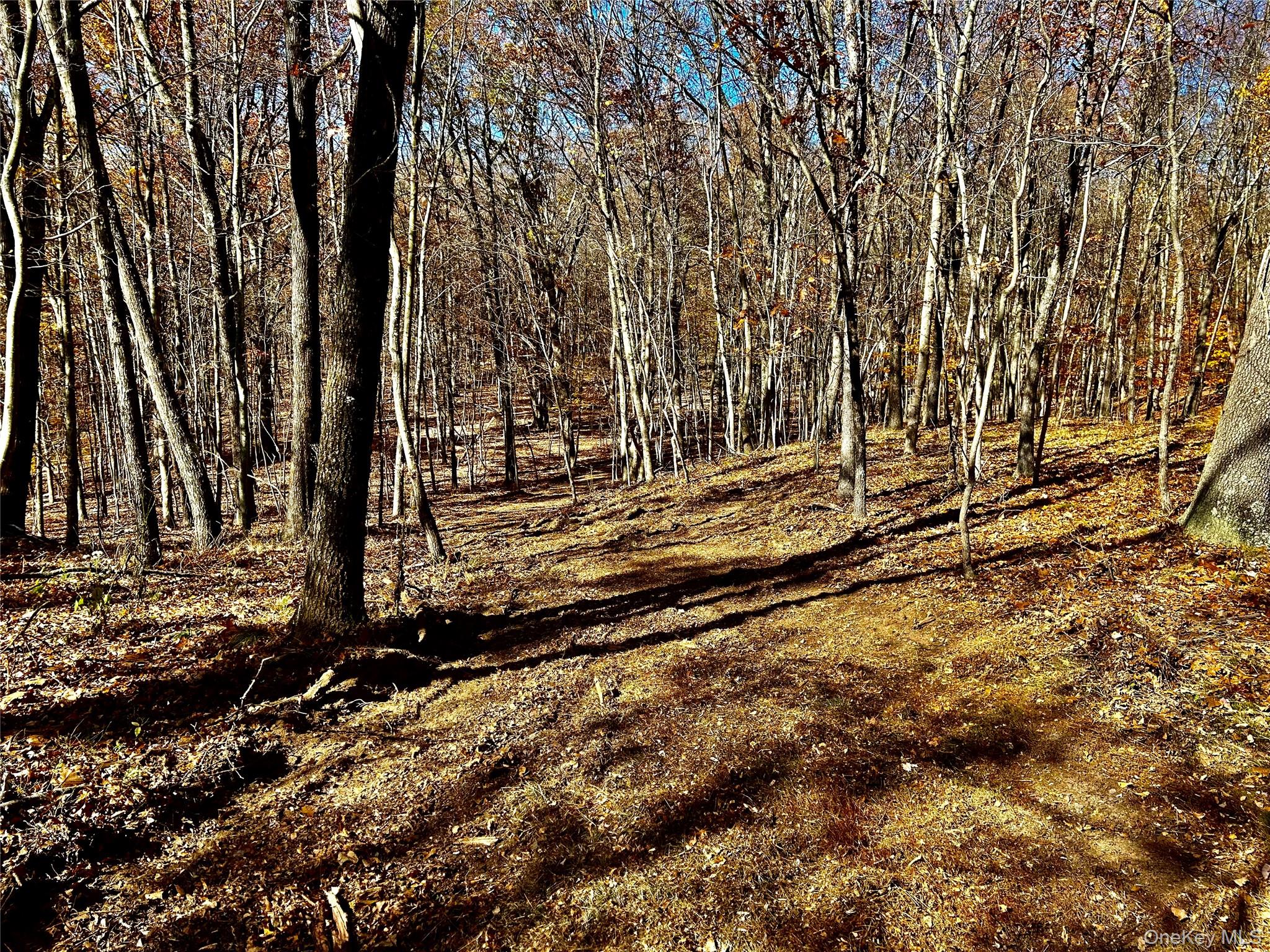 Westfall, Ancram, NY 12502