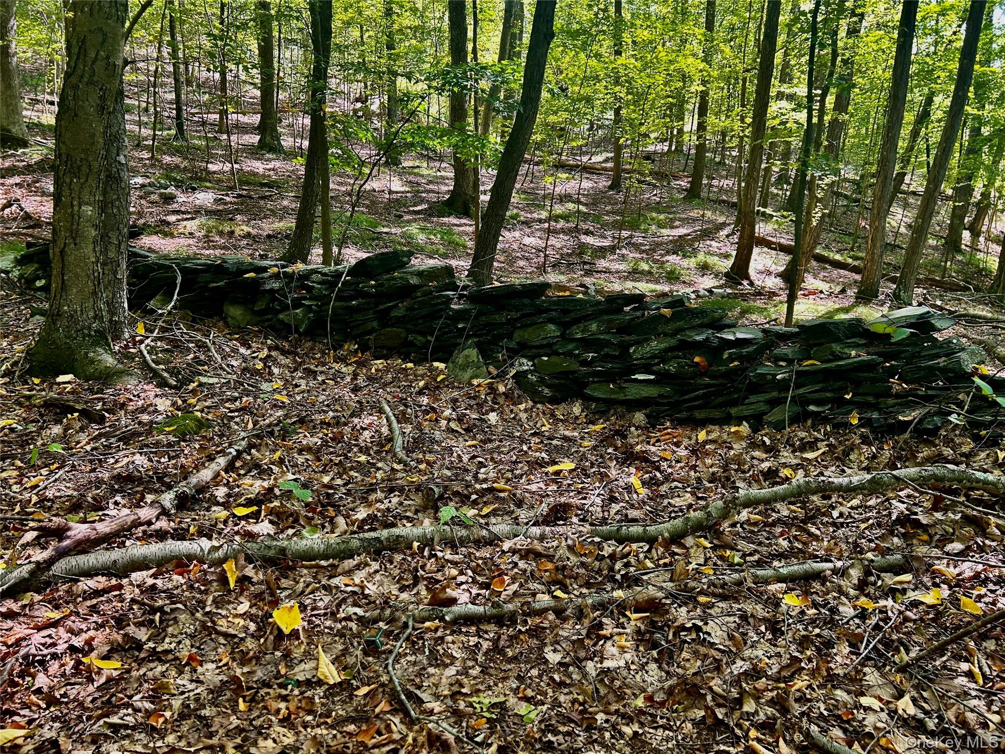 Westfall, Ancram, NY 12502