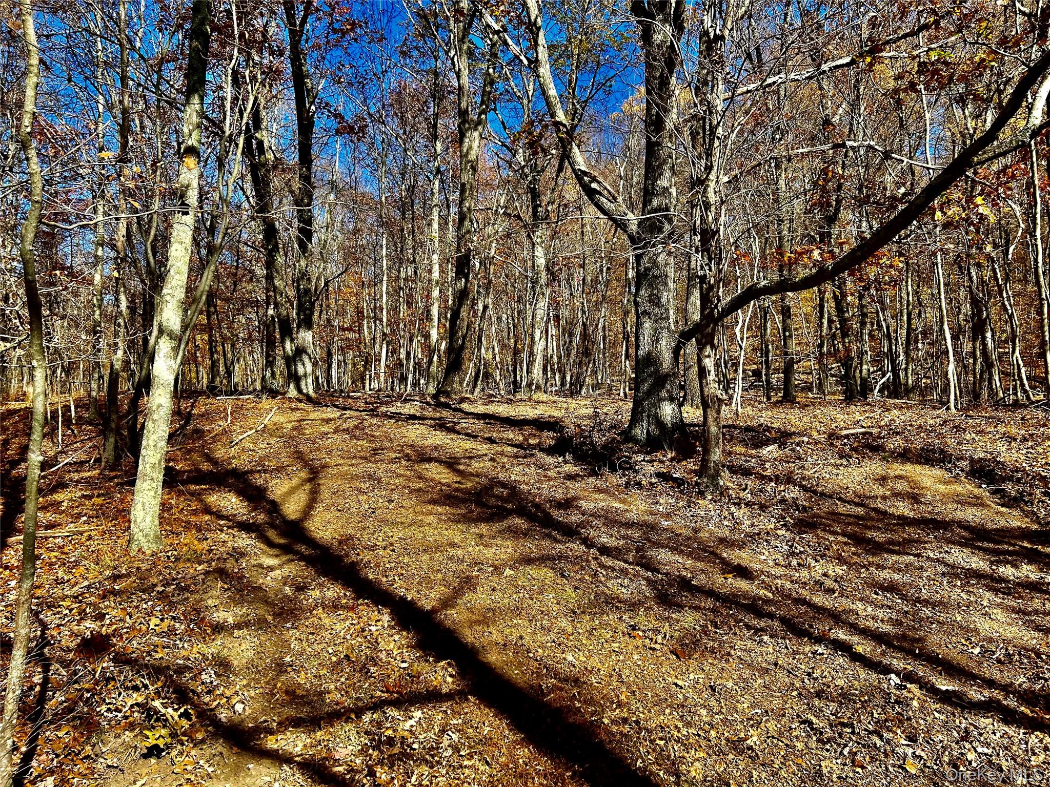 Westfall, Ancram, NY 12502