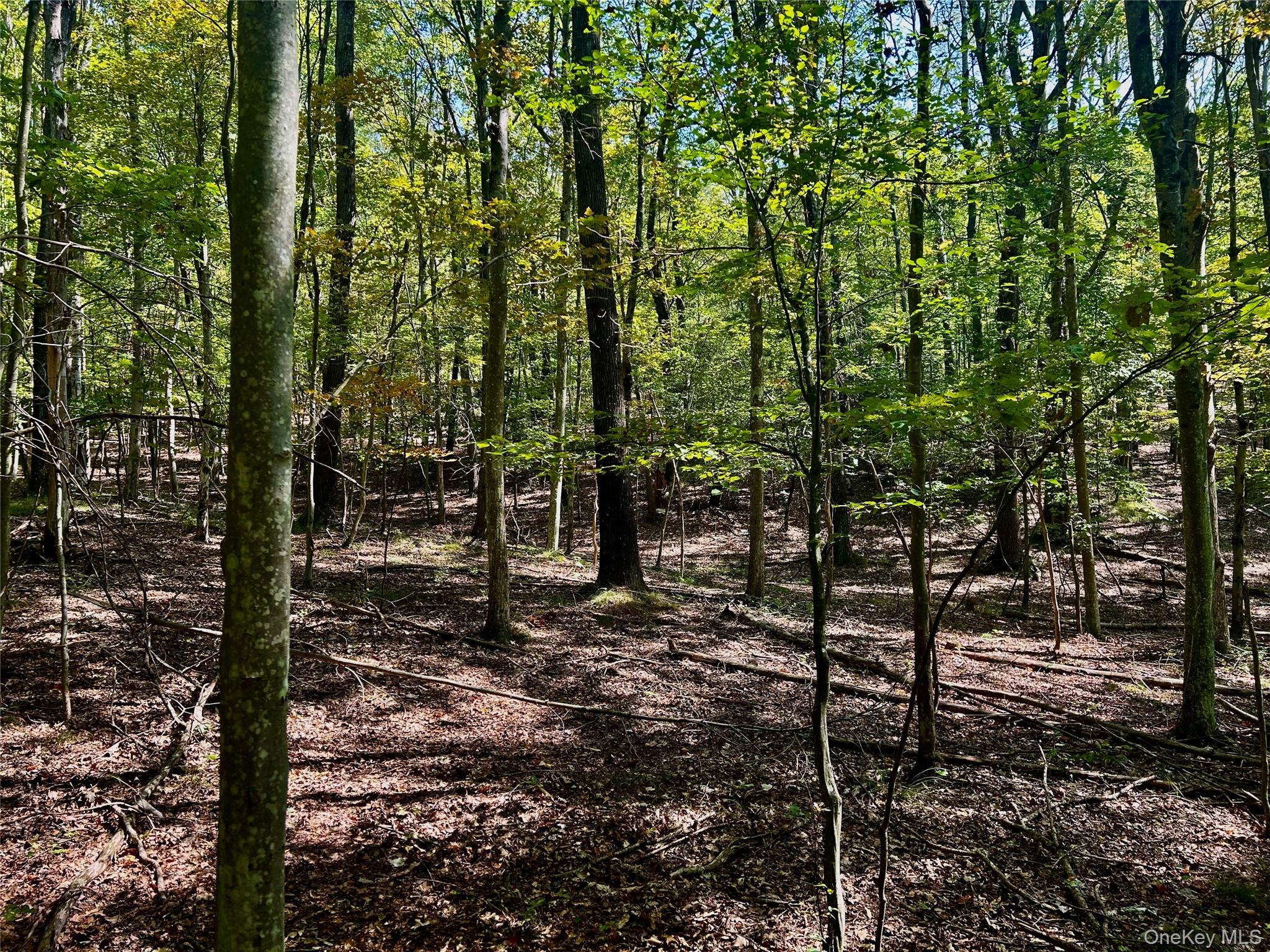 Westfall, Ancram, NY 12502