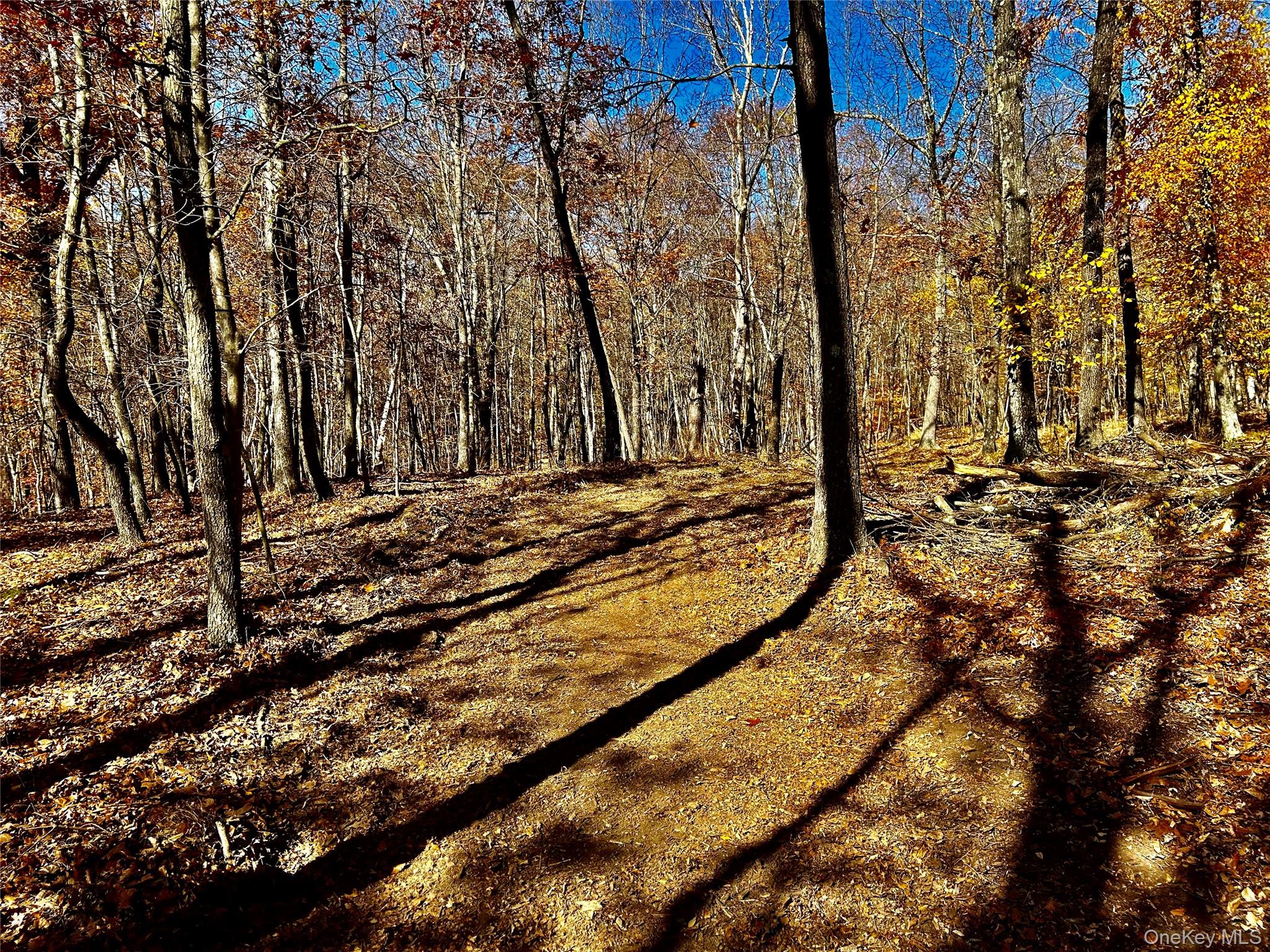 Westfall, Ancram, NY 12502