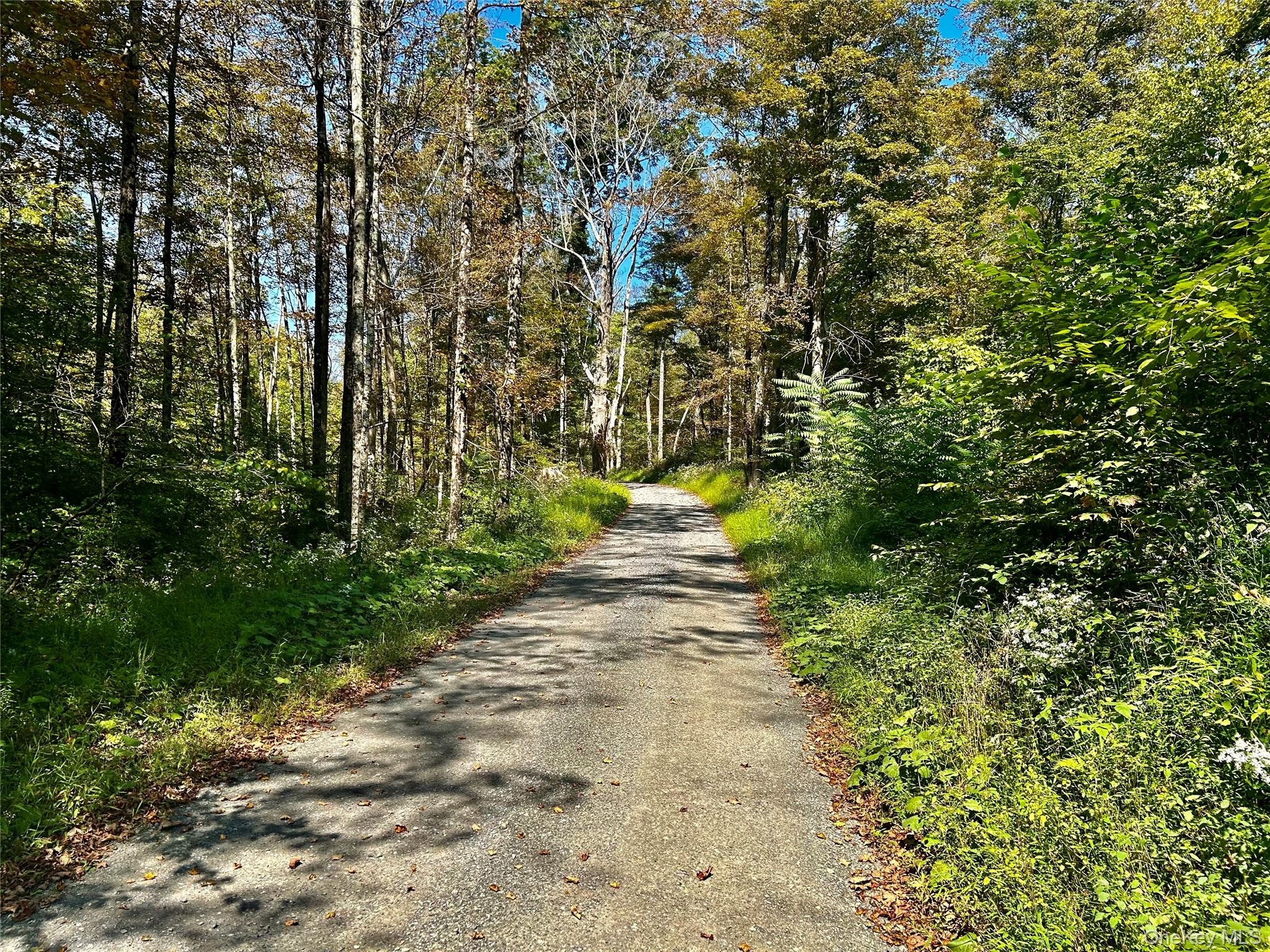 Westfall, Ancram, NY 12502