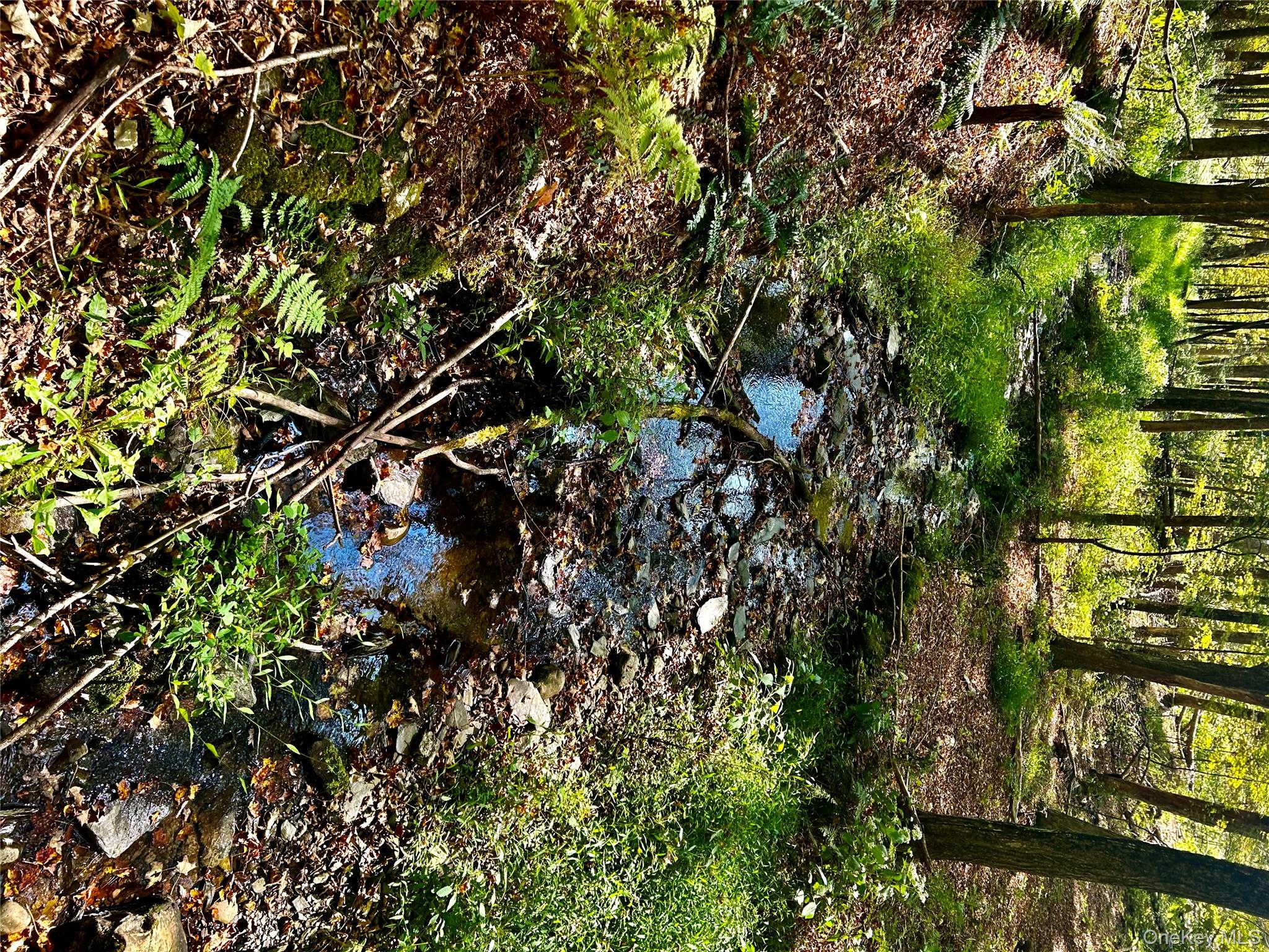 Westfall, Ancram, NY 12502