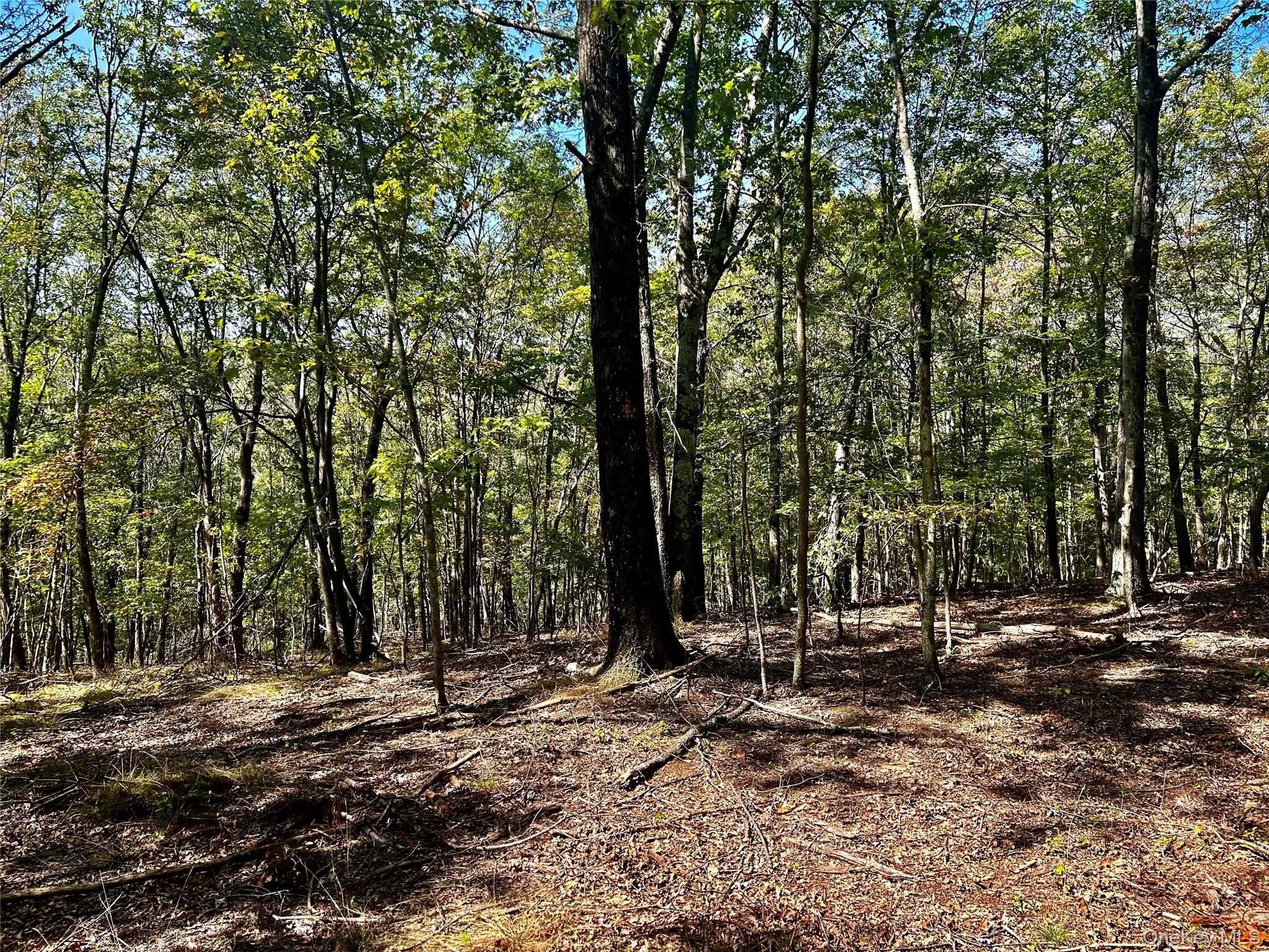 Westfall, Ancram, NY 12502