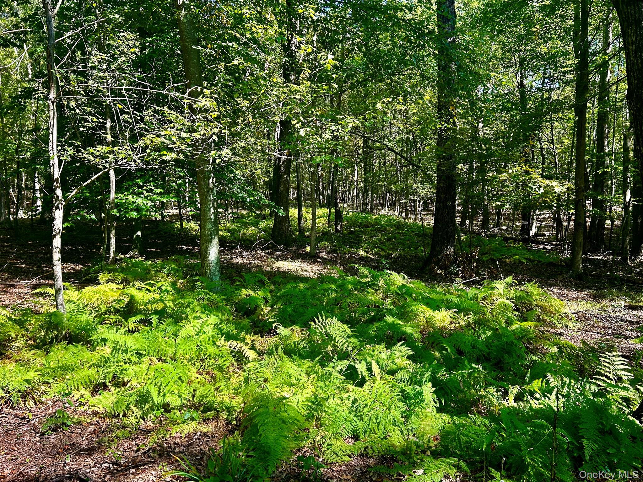 Westfall, Ancram, NY 12502