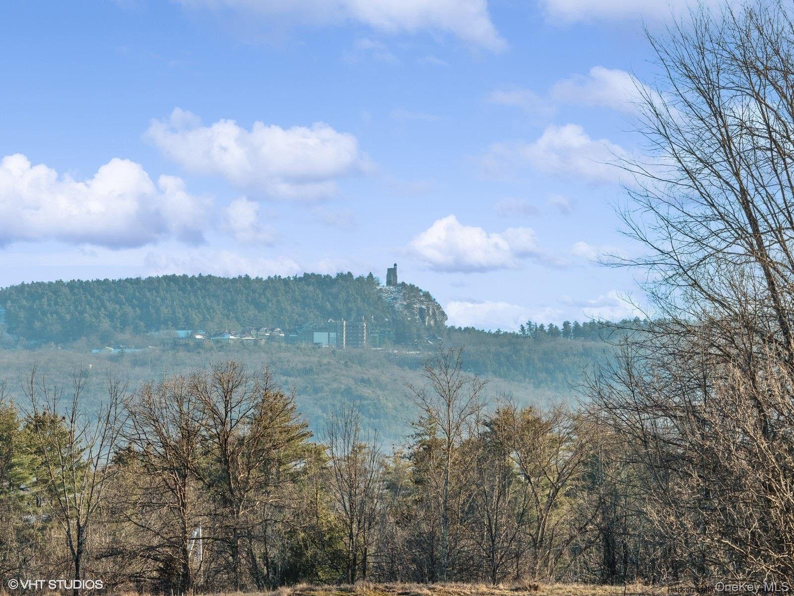 29 Rest Plaus Road, Stone Ridge, NY 12484