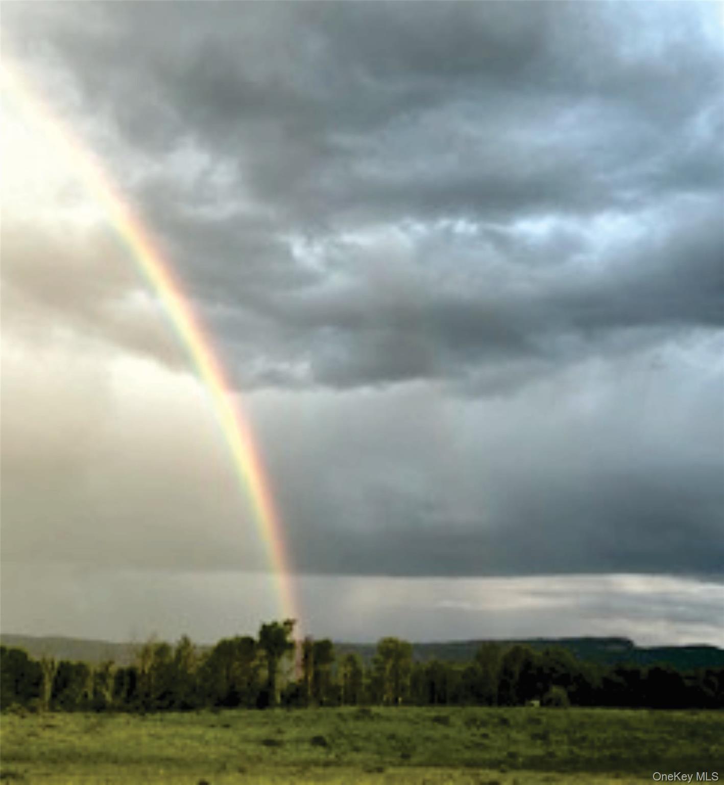 29 Rest Plaus Road, Stone Ridge, NY 12484