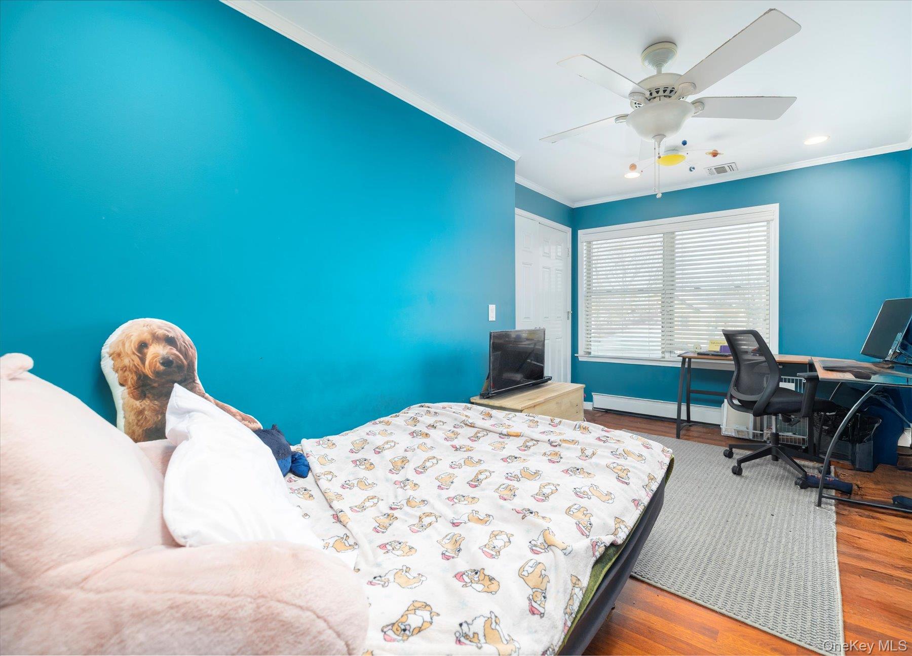 8424 252nd Street, Bellerose, NY 11426