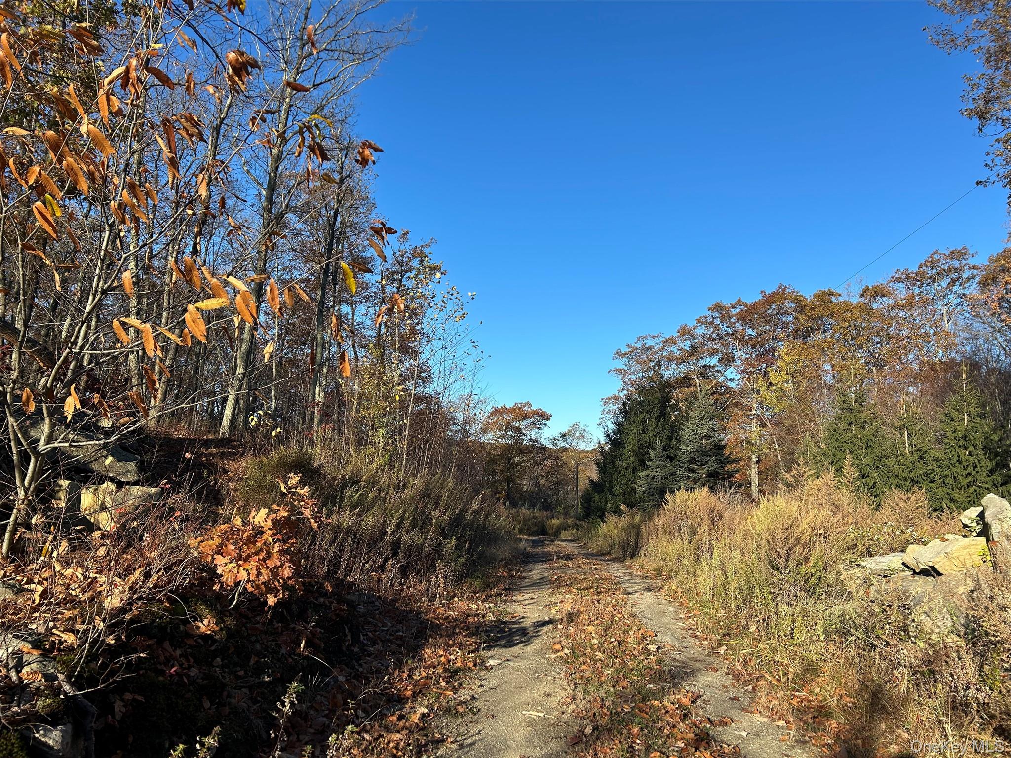 545 Grape Hollow Road, Holmes, NY 12531