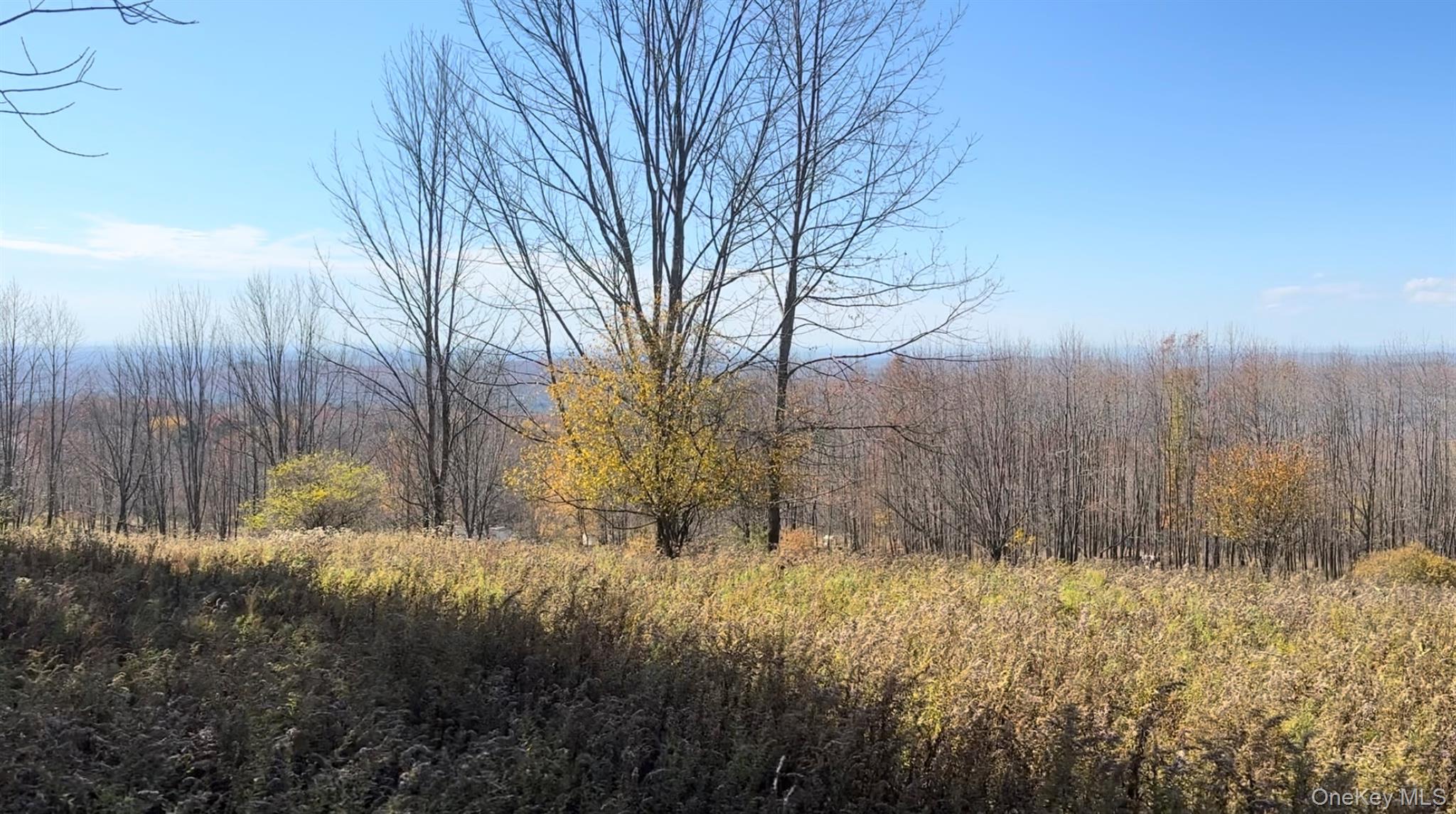 Chaffee Road, Liberty, NY 12754