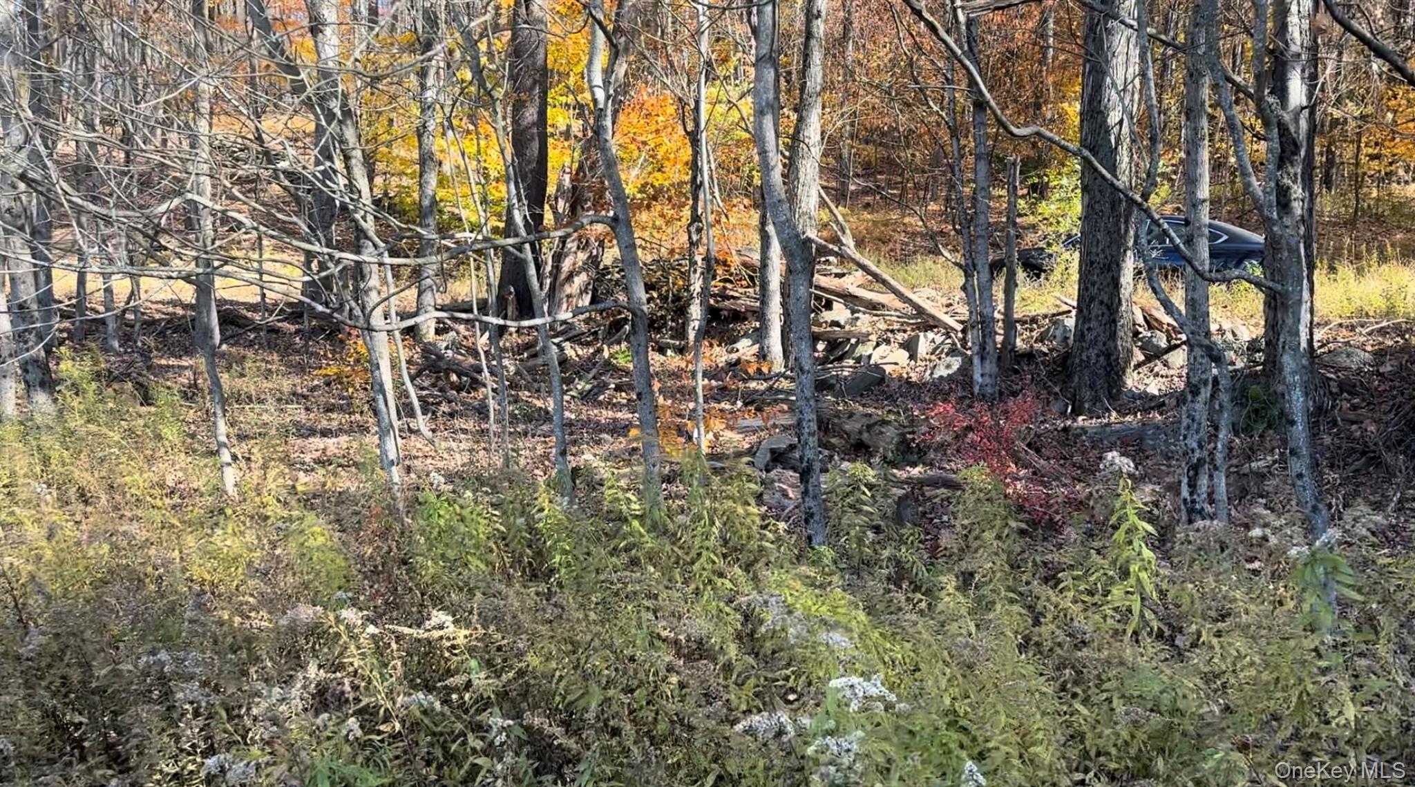 Chaffee Road, Liberty, NY 12754