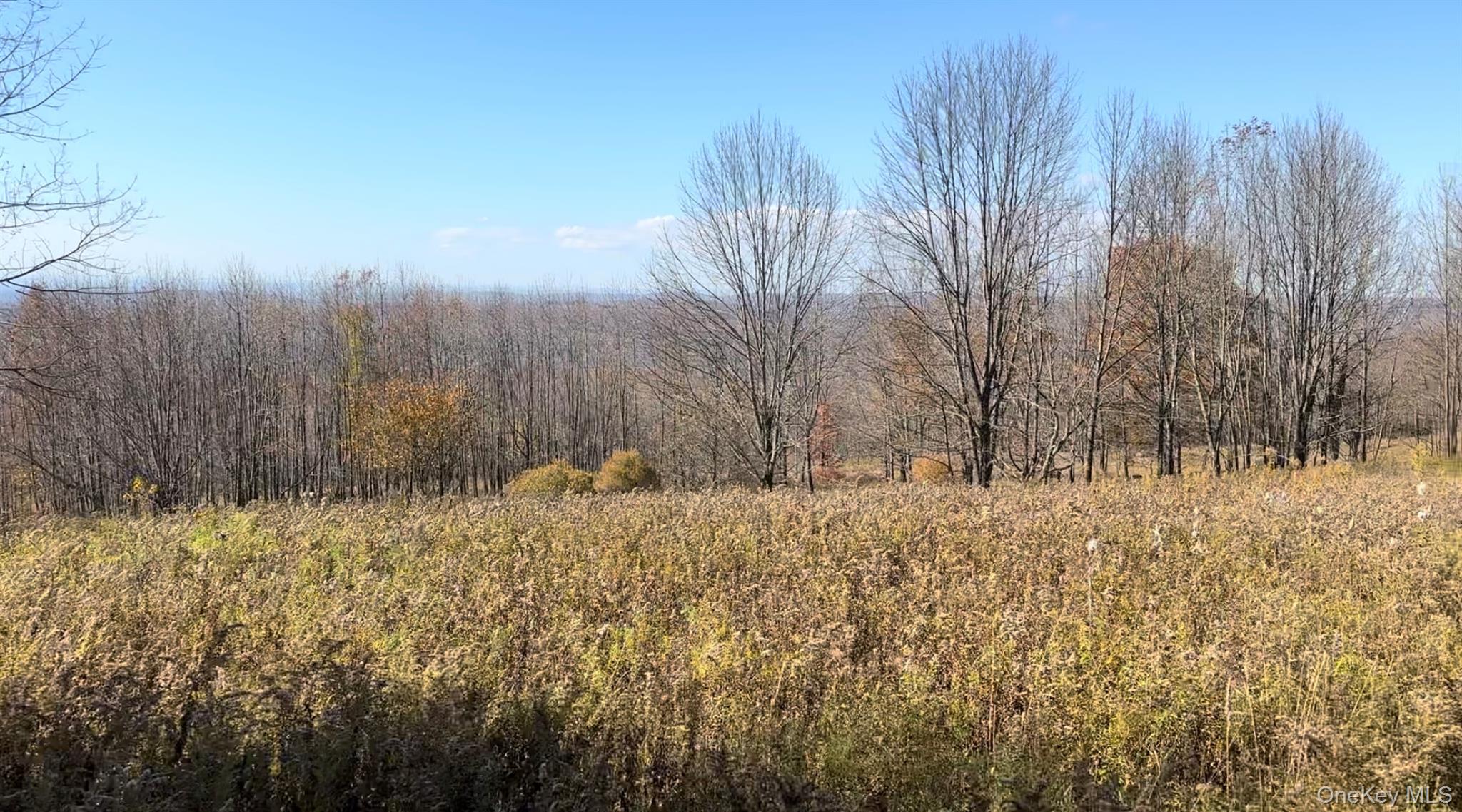 Chaffee Road, Liberty, NY 12754