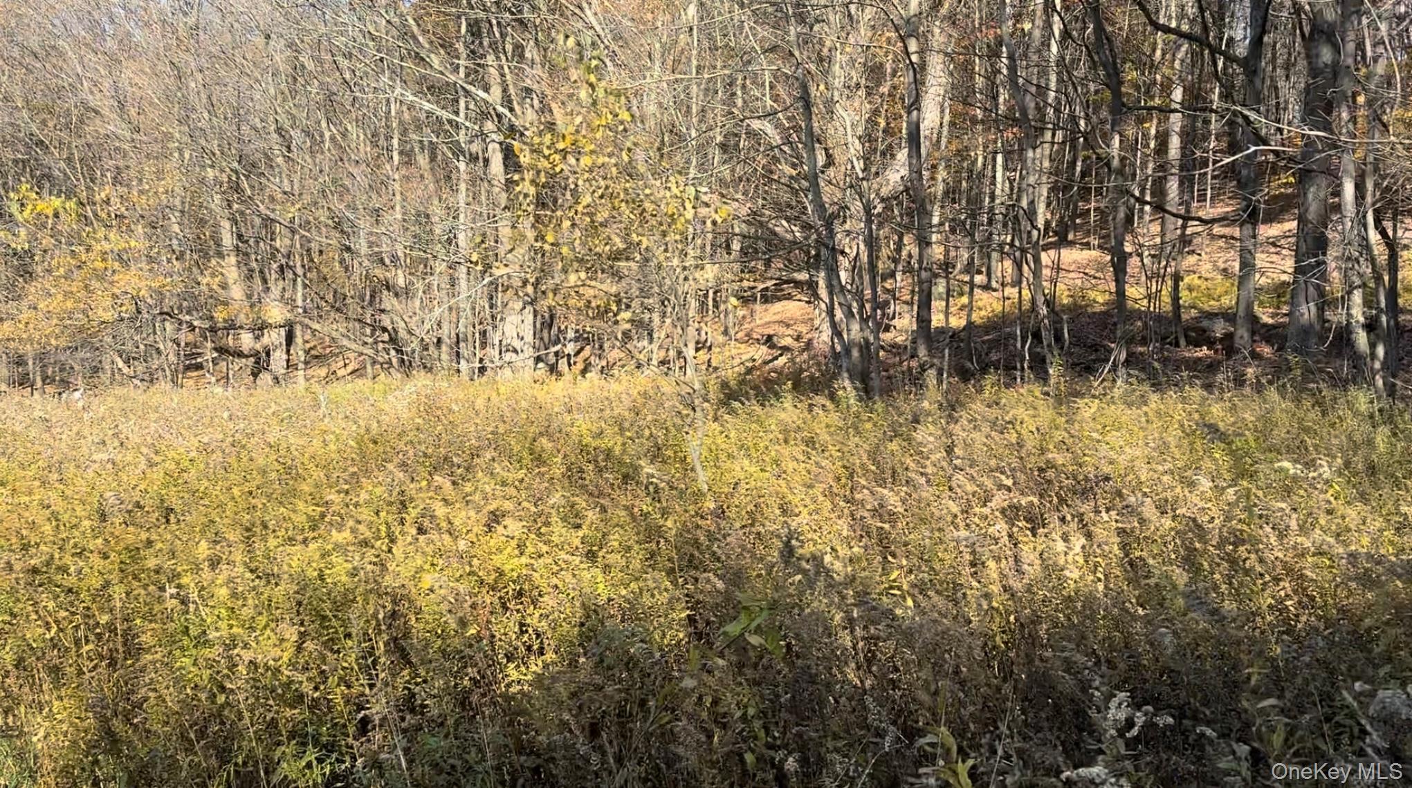 Chaffee Road, Liberty, NY 12754