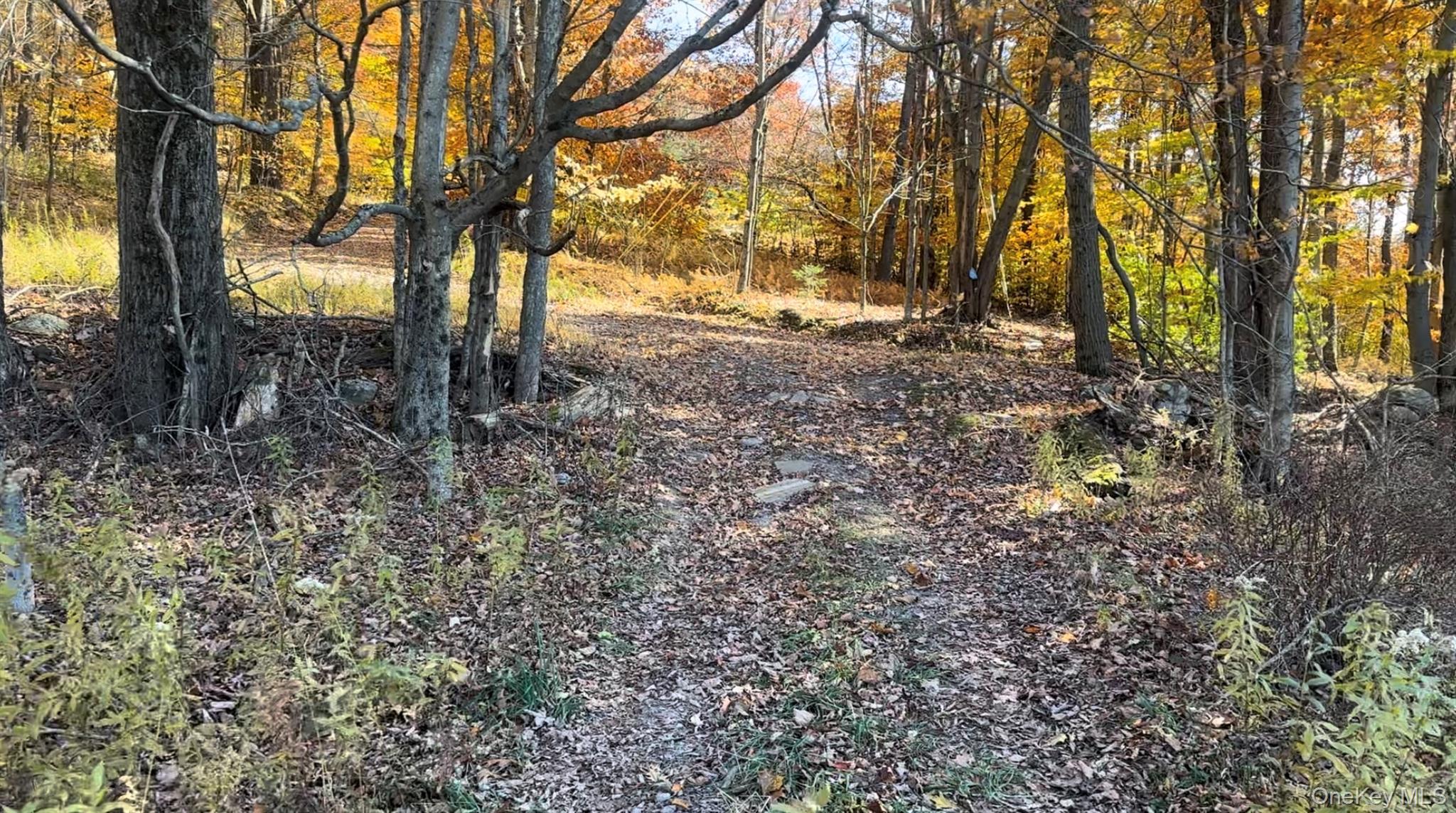 Chaffee Road, Liberty, NY 12754