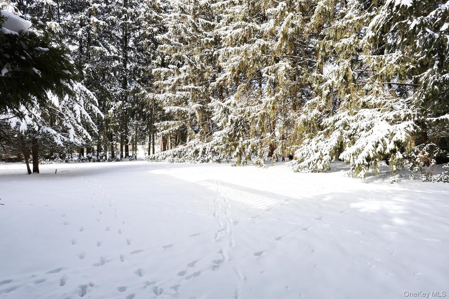 4 Crabapple Court, Monsey, NY 10952