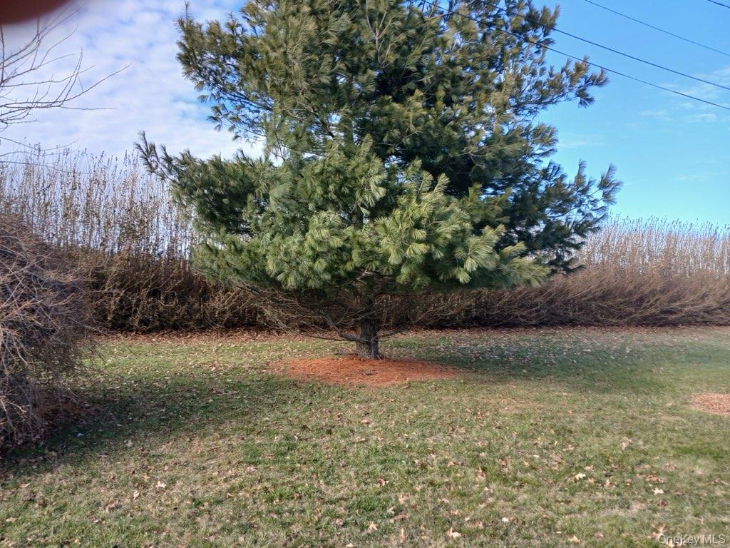 7850 Bridge Lane, Cutchogue, NY 11935