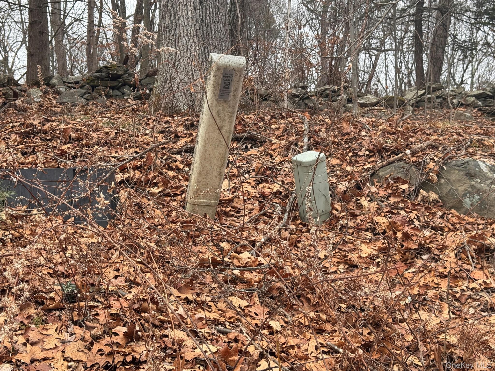 17 Vanessa Lane, Staatsburg, NY 12580