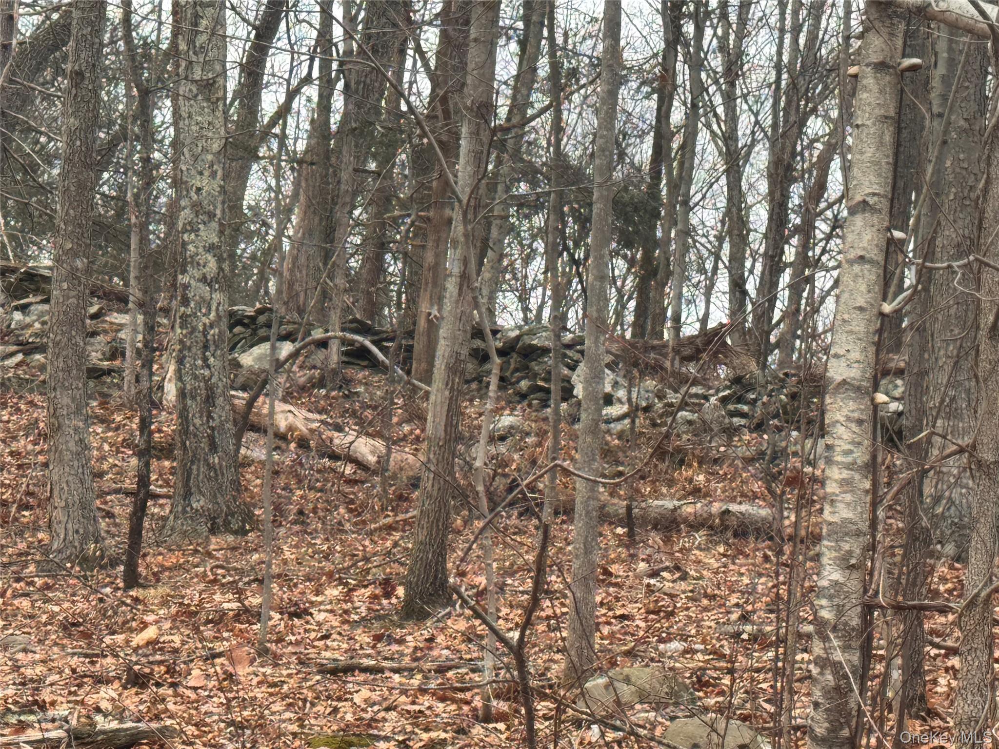 17 Vanessa Lane, Staatsburg, NY 12580