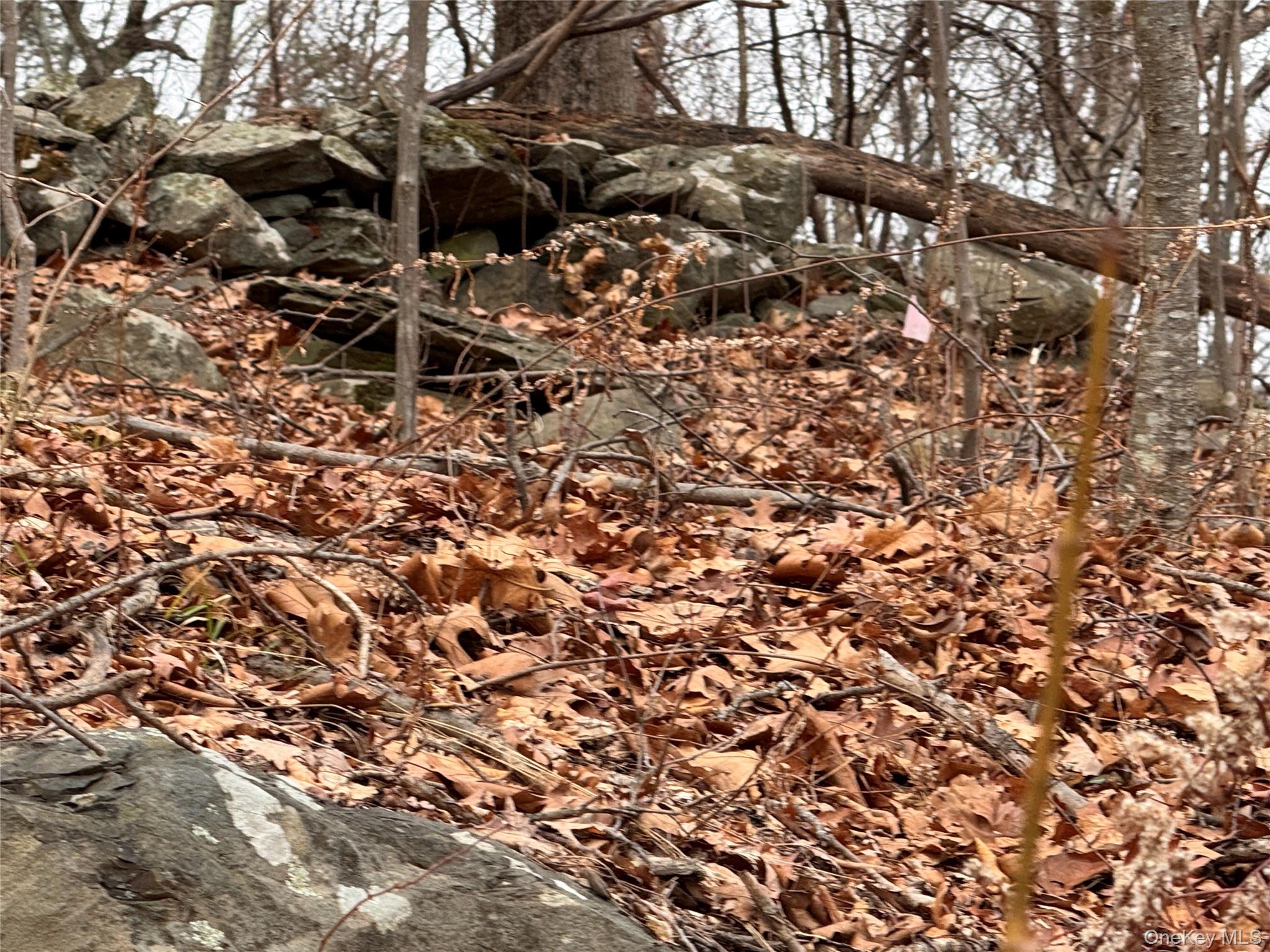 17 Vanessa Lane, Staatsburg, NY 12580