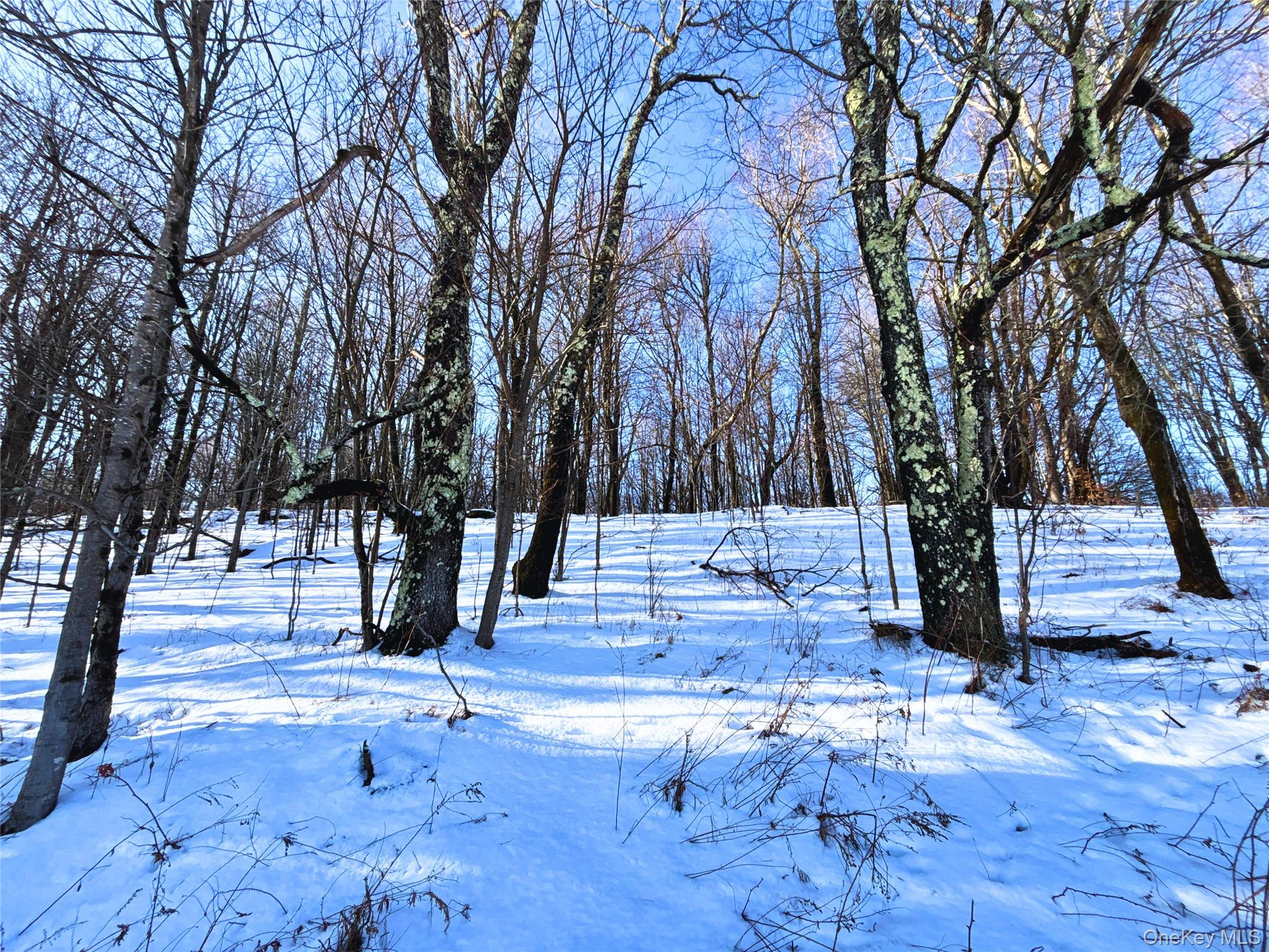 161 Ridge Road, Hamden, NY 13782