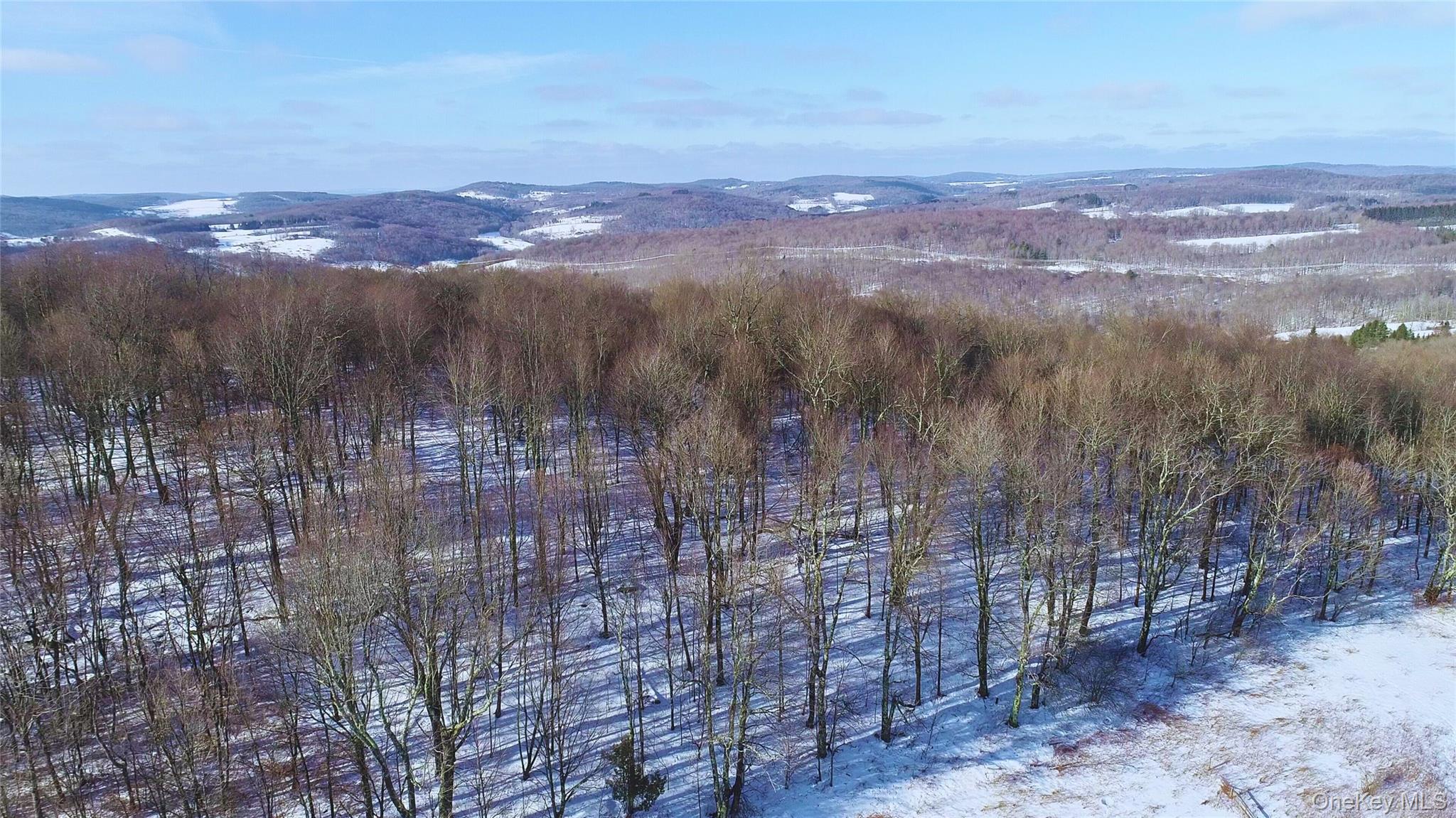 161 Ridge Road, Hamden, NY 13782