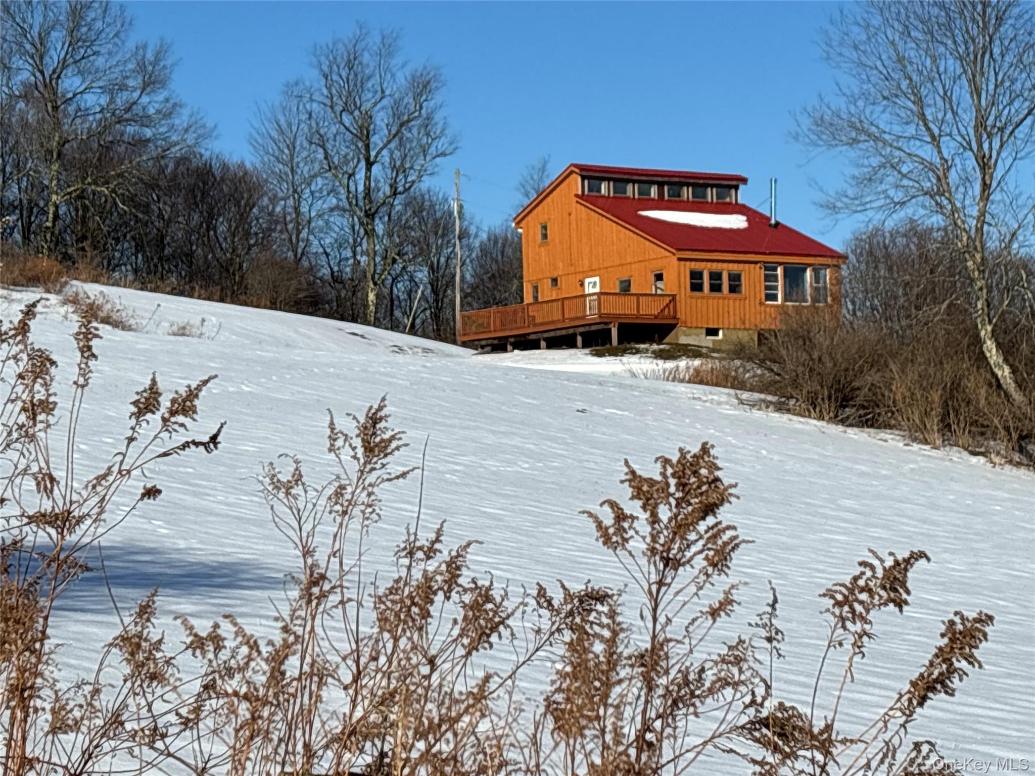 161 Ridge Road, Hamden, NY 13782