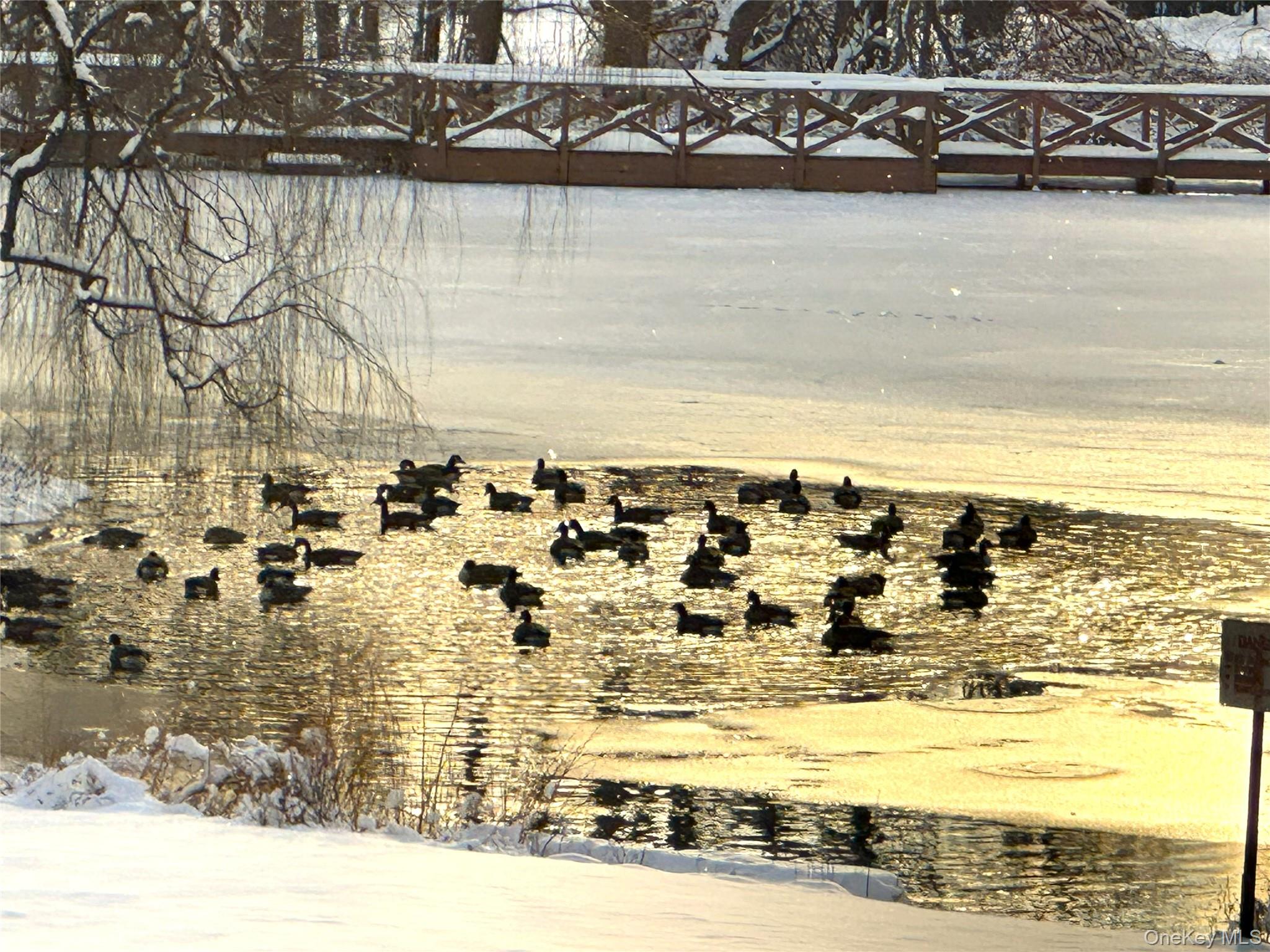 7 Loudon Drive # 7, Fishkill, NY 12524