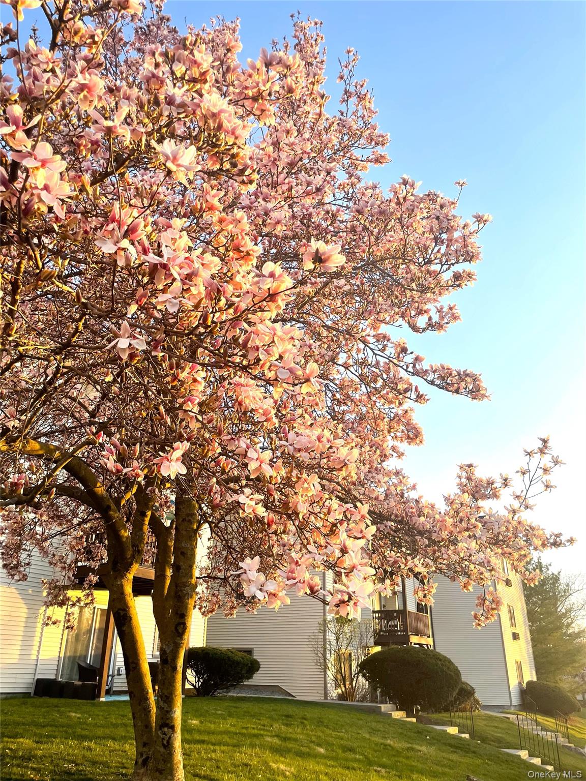 7 Loudon Drive # 7, Fishkill, NY 12524