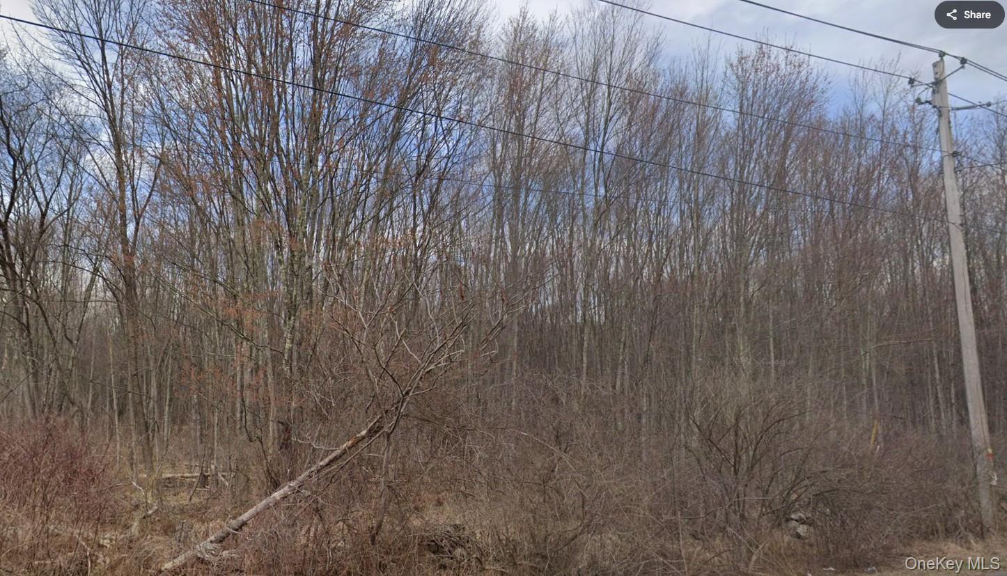 Ingrassia Road, Middletown, NY 10940