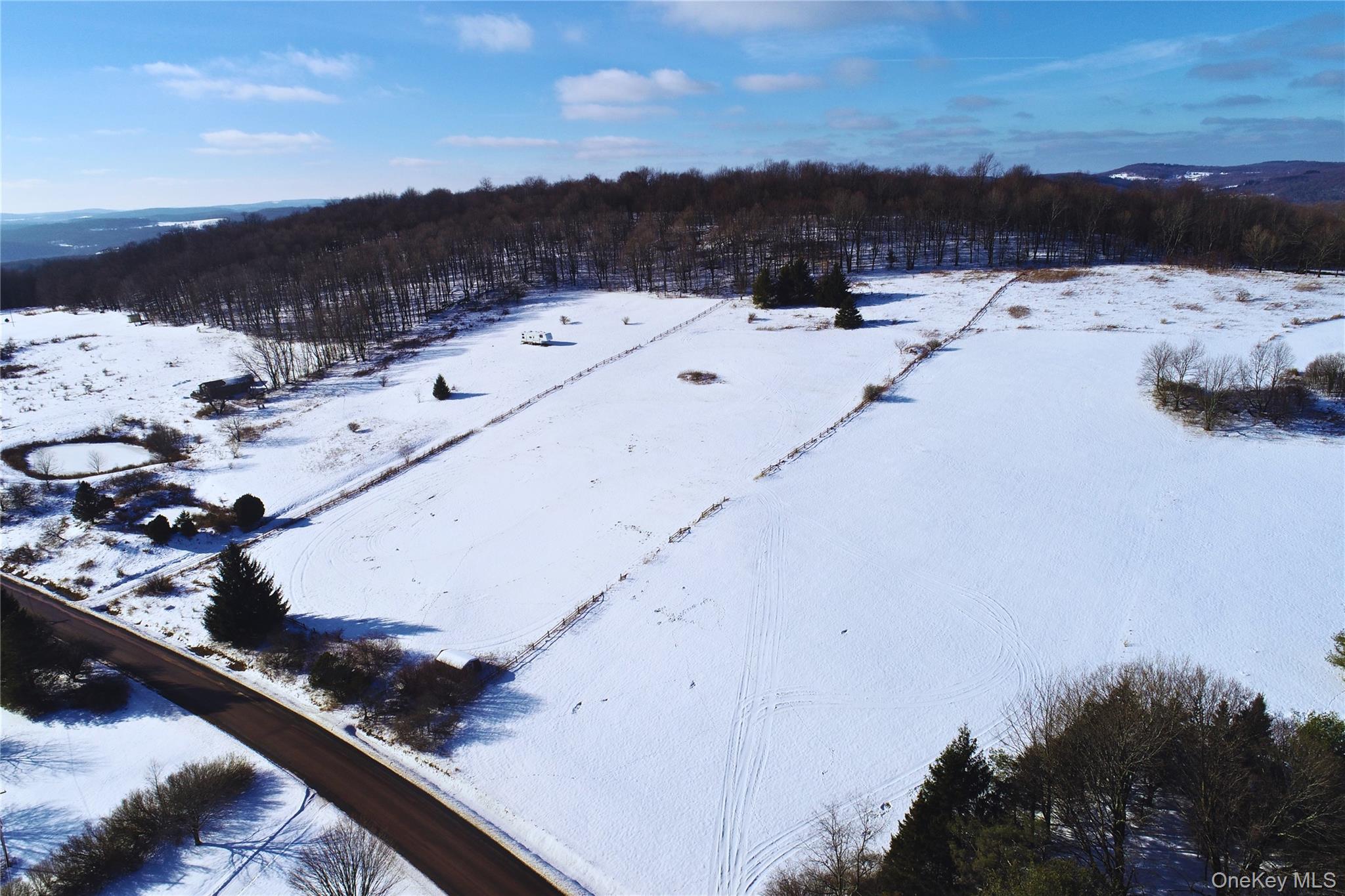 Lot 41-42 Hamden Hill Road, Hamden, NY 13782