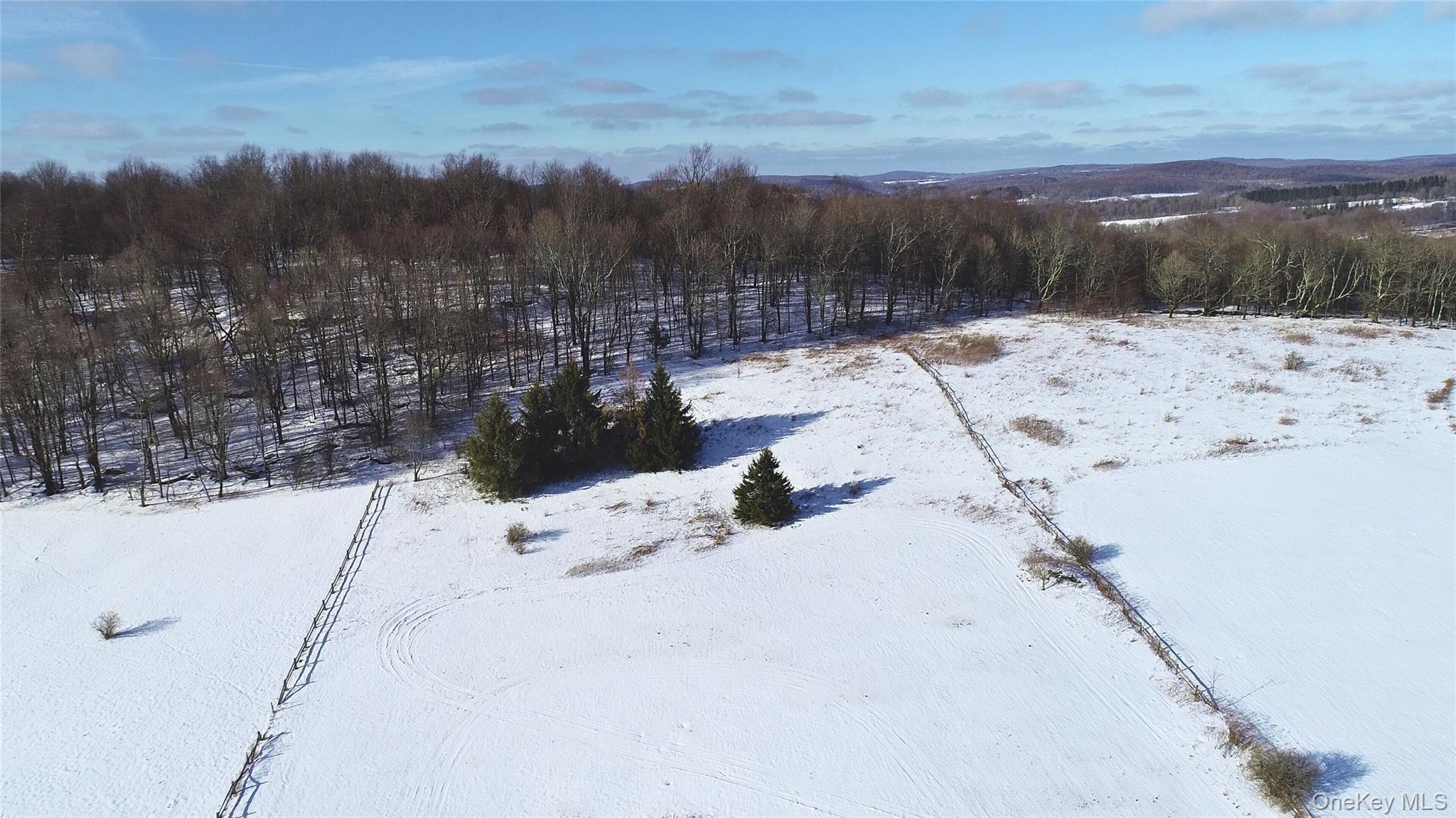 Lot 41-42 Hamden Hill Road, Hamden, NY 13782