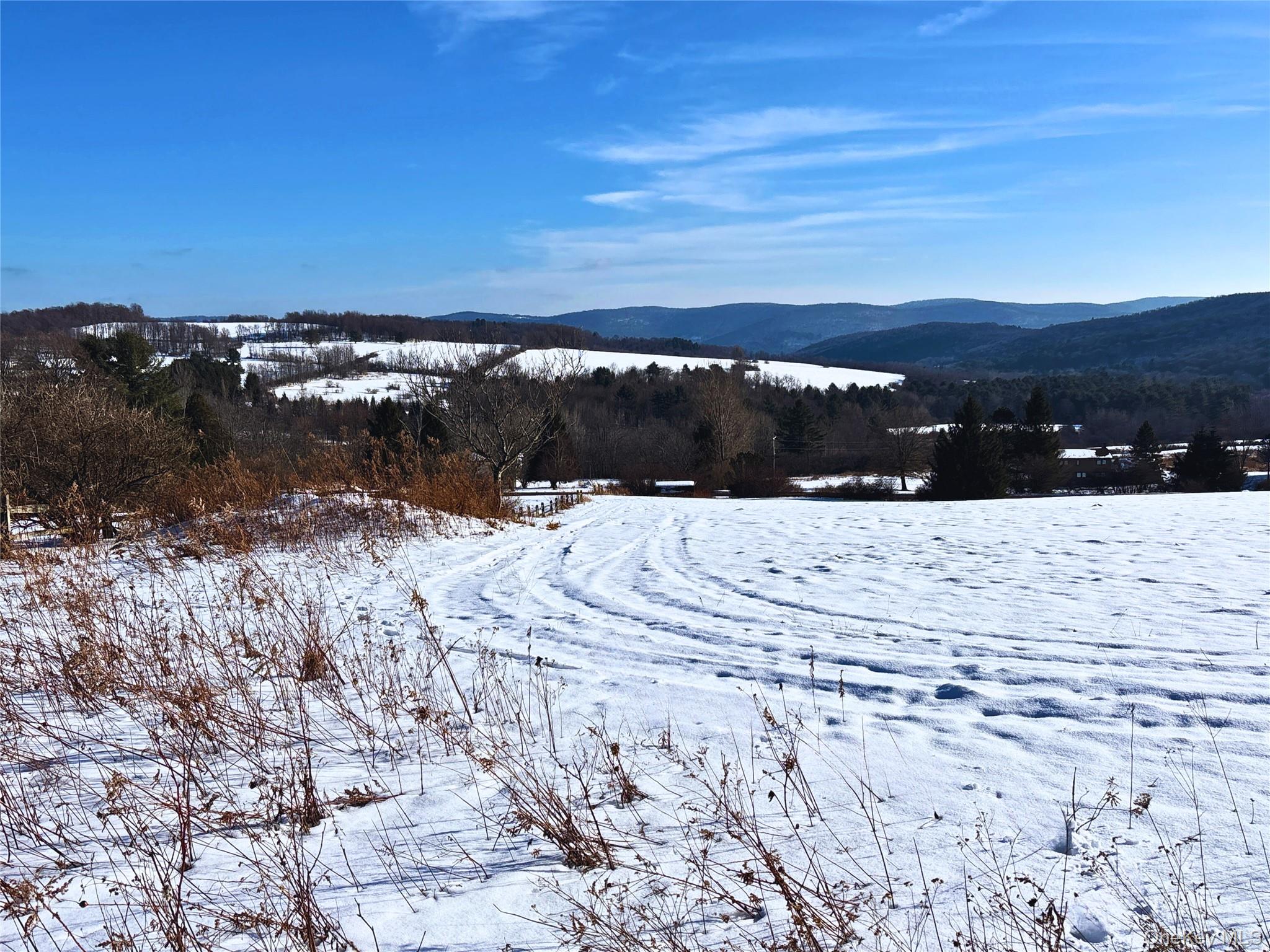 Lot 41-42 Hamden Hill Road, Hamden, NY 13782