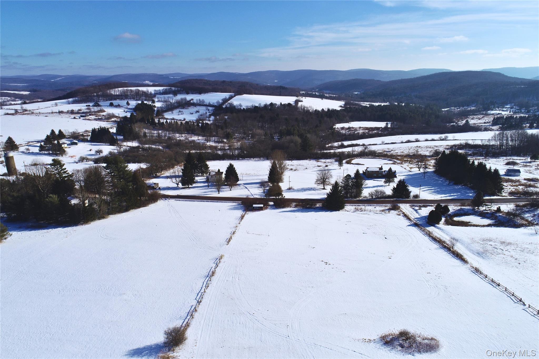 Lot 41-42 Hamden Hill Road, Hamden, NY 13782