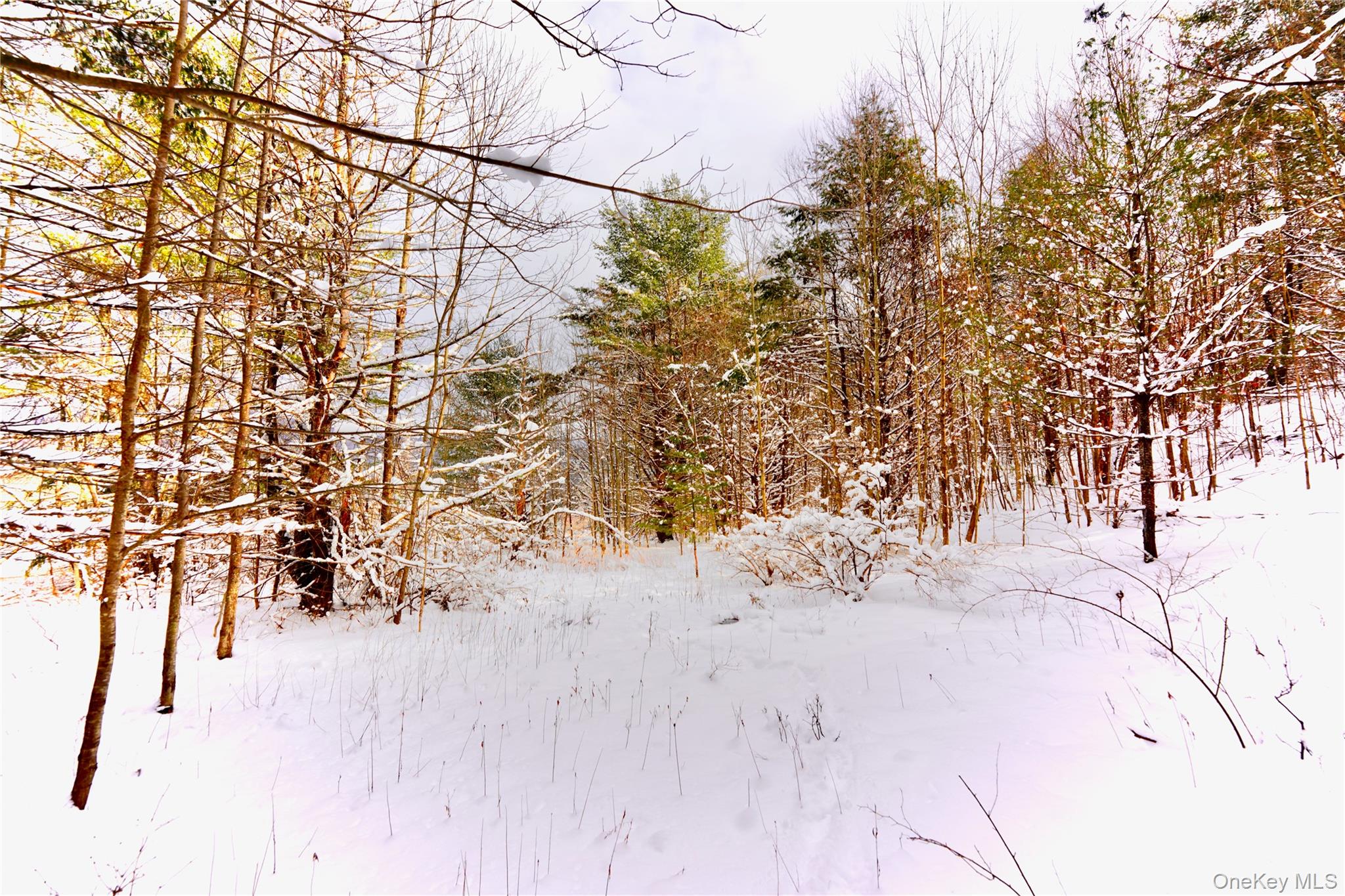 Quail Ridge Road, Margaretville, NY 12455