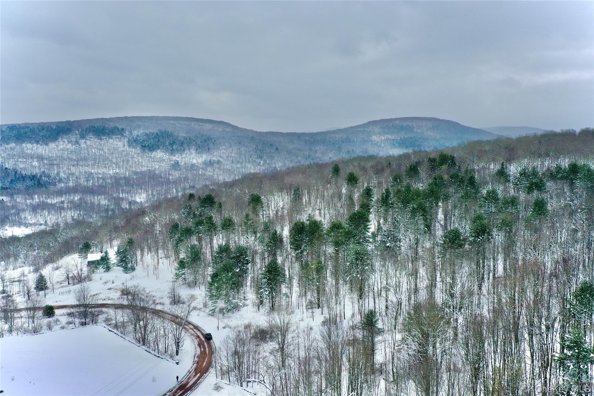 Quail Ridge Road, Margaretville, NY 12455