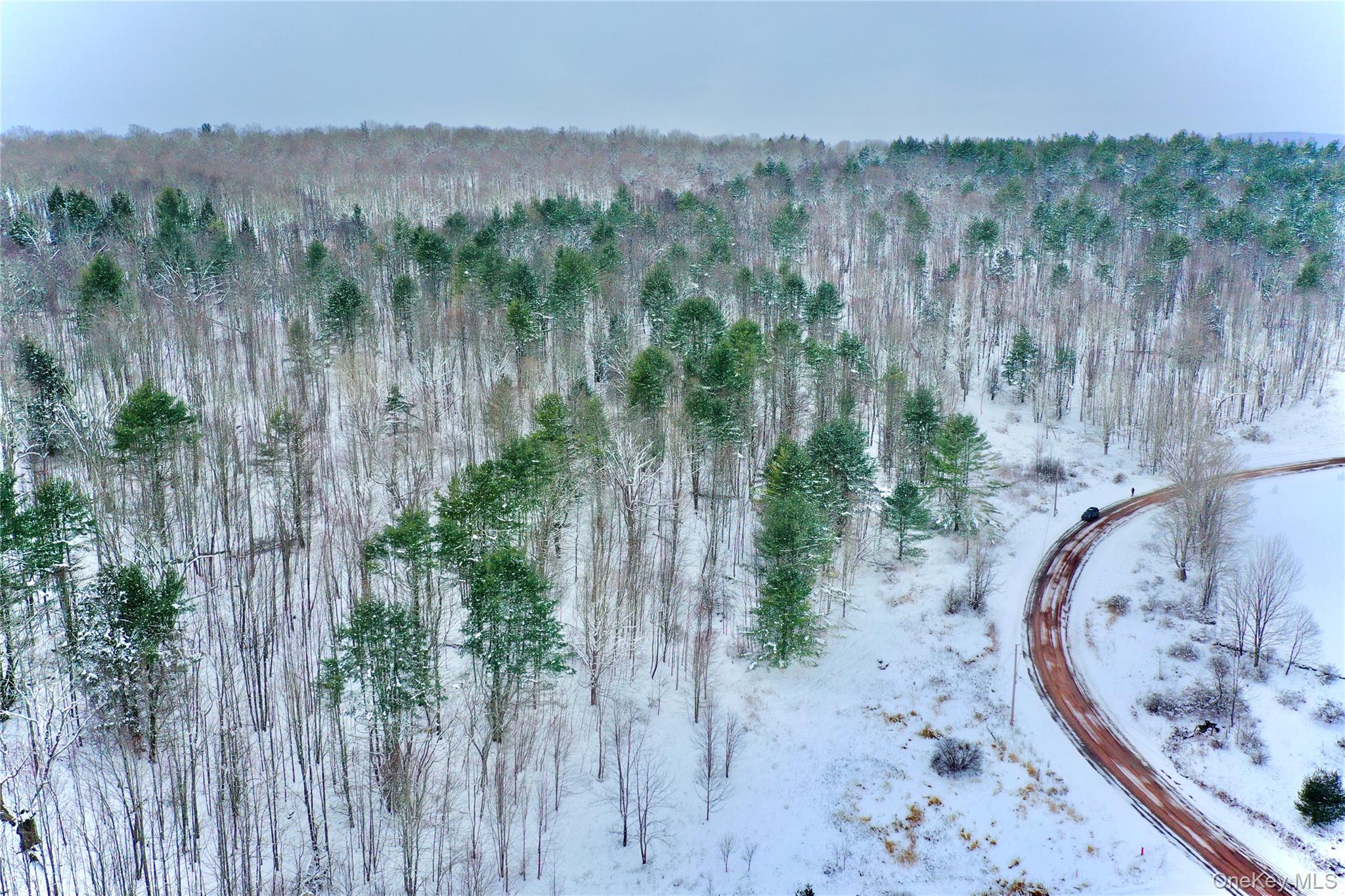 Quail Ridge Road, Margaretville, NY 12455